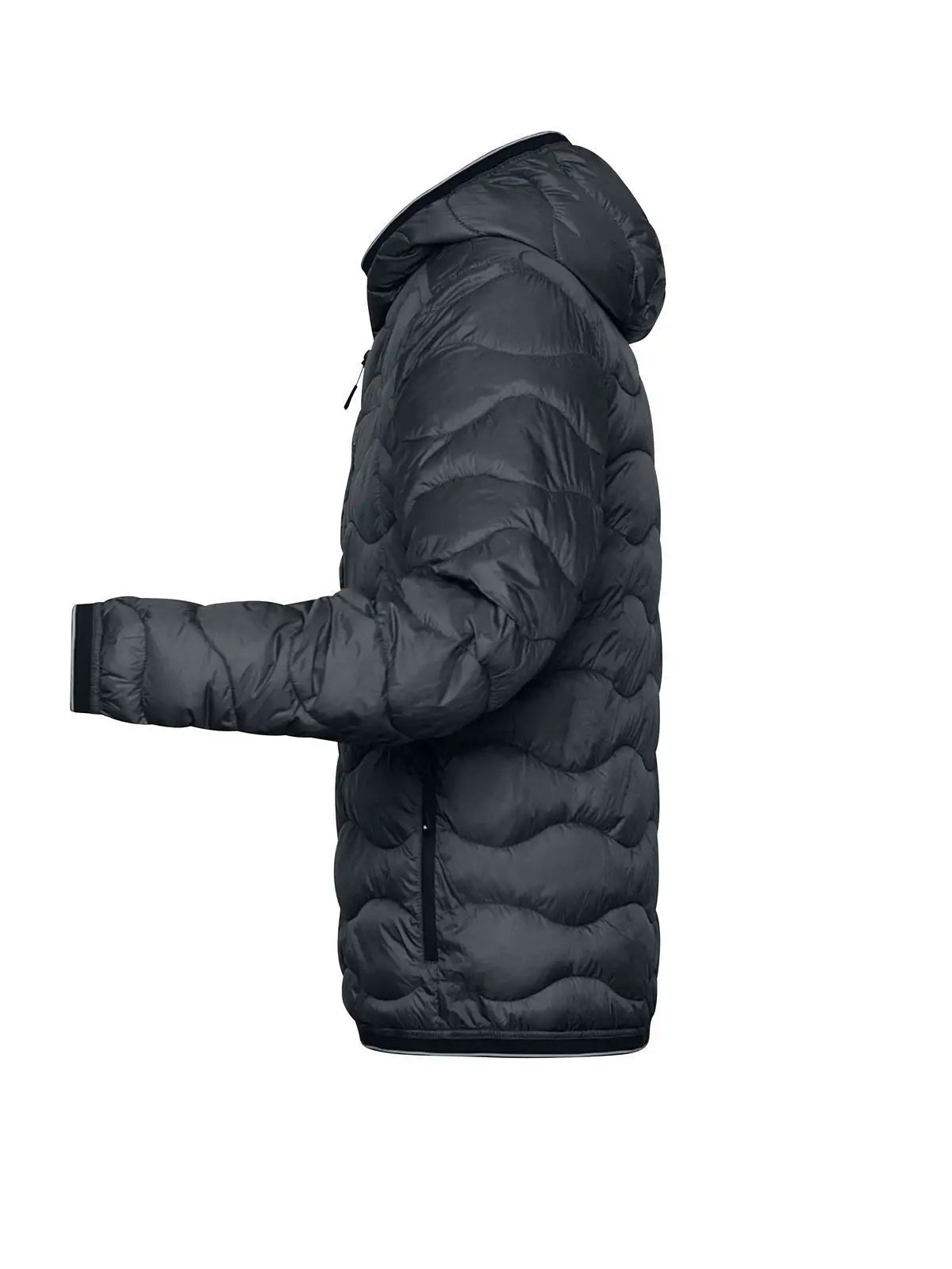 Immagine Men's Padded Jacket
