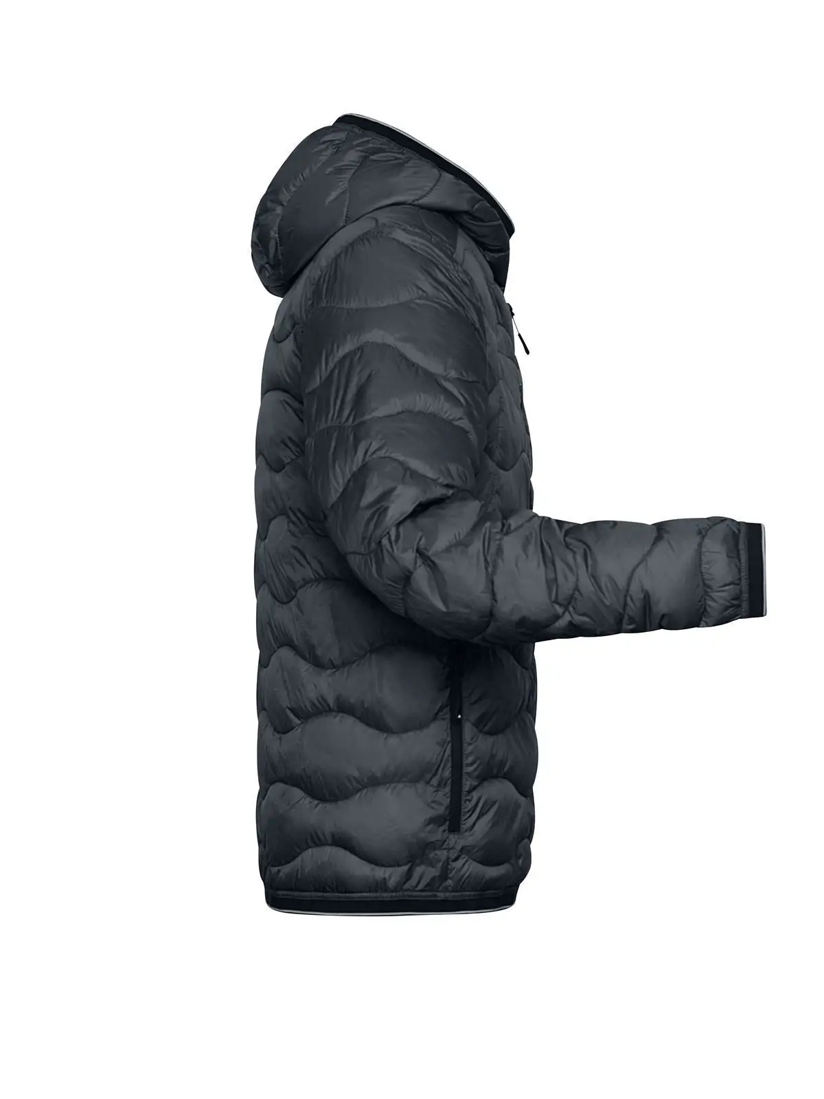 Immagine Men's Padded Jacket