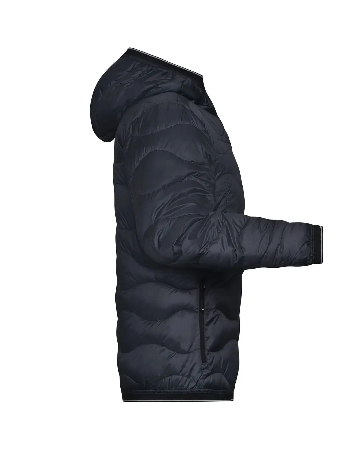 Immagine Ladies' Padded Jacket