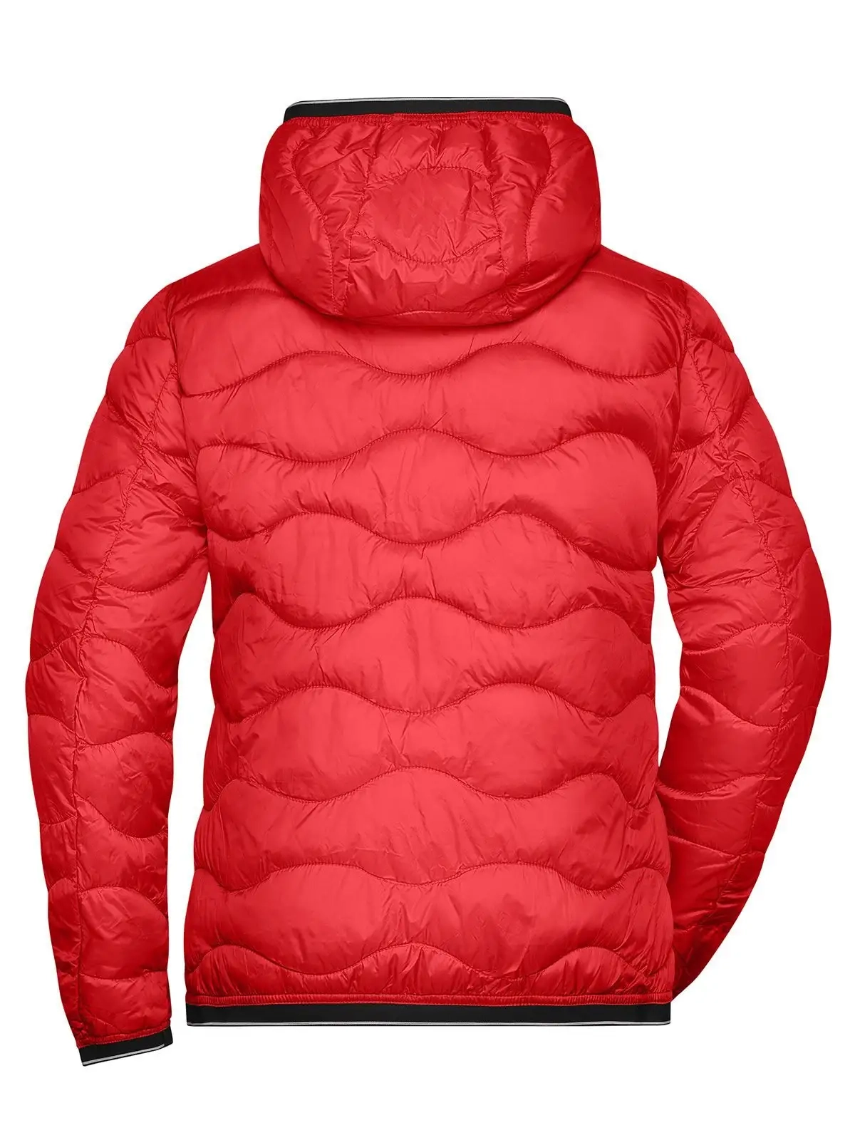 Immagine Ladies' Padded Jacket