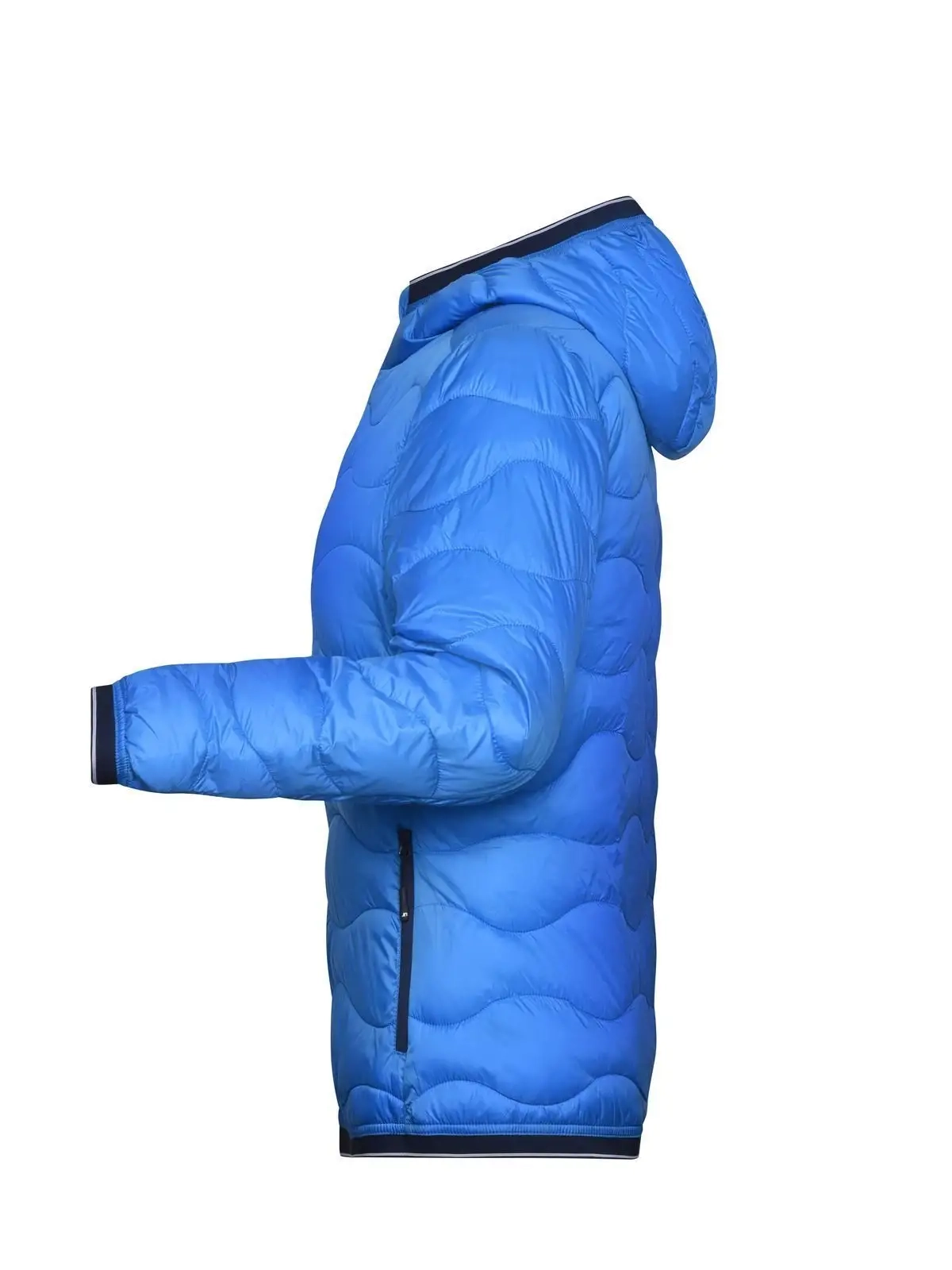 Immagine Ladies' Padded Jacket