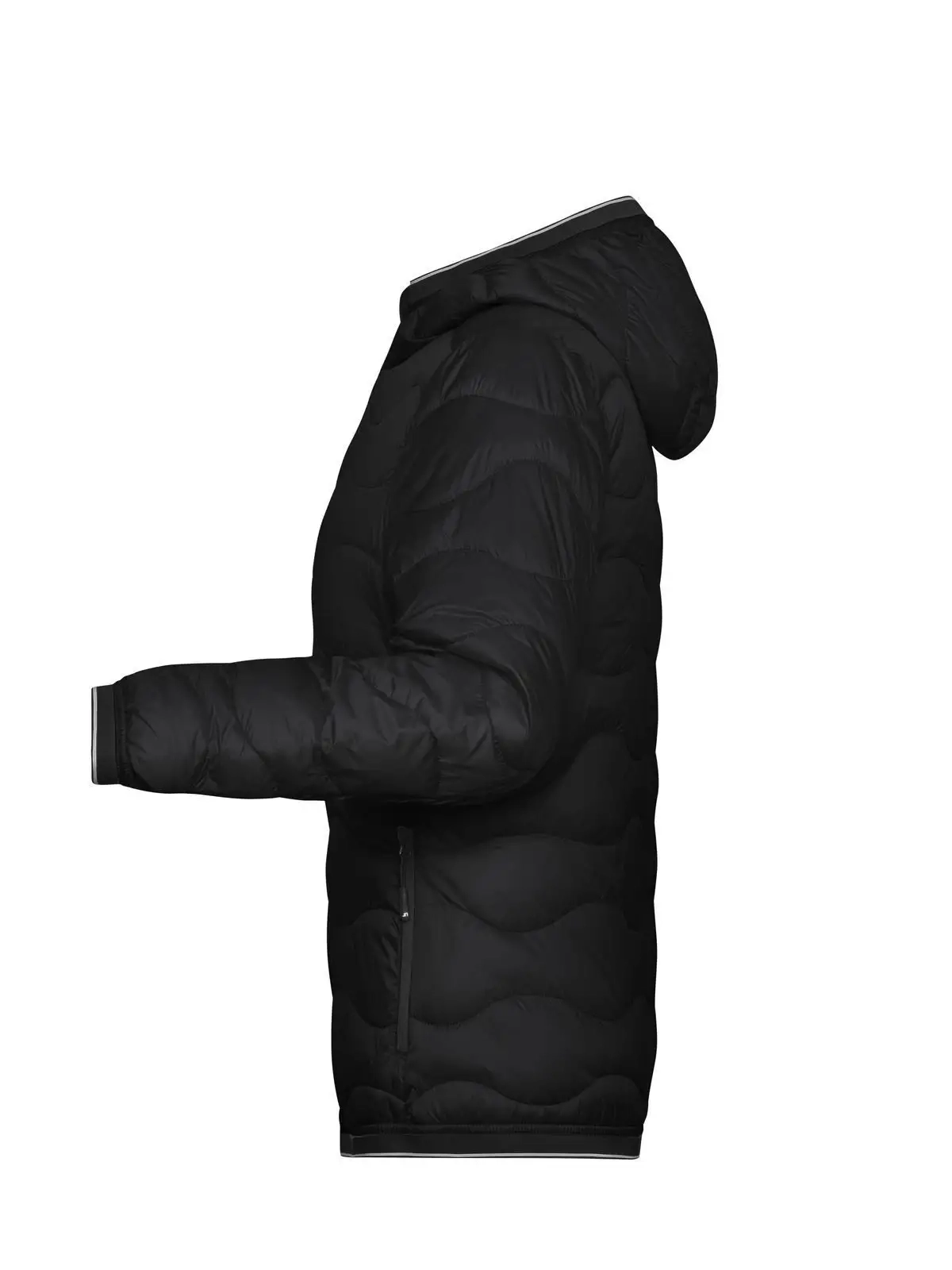 Immagine Ladies' Padded Jacket