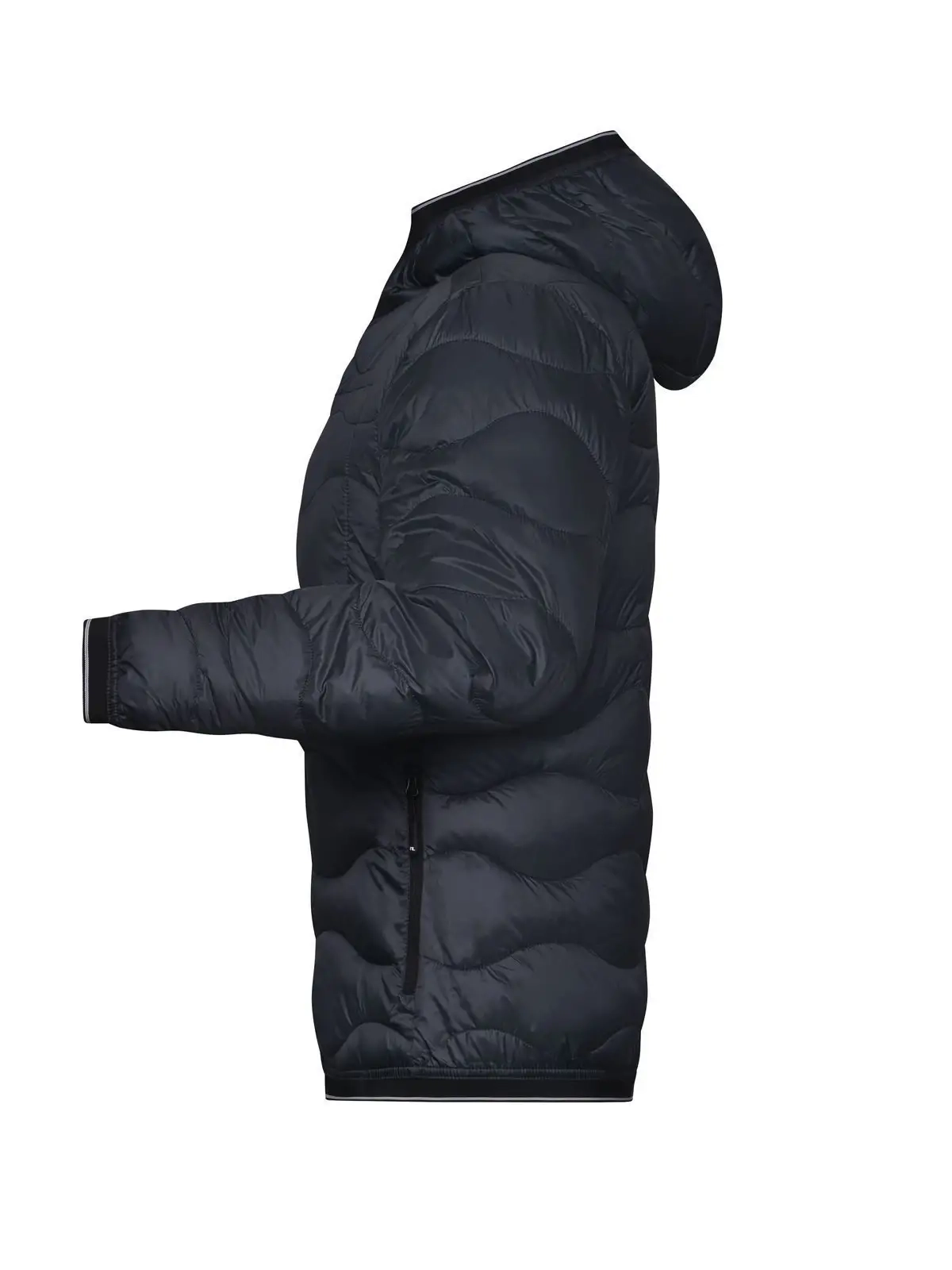 Immagine Ladies' Padded Jacket