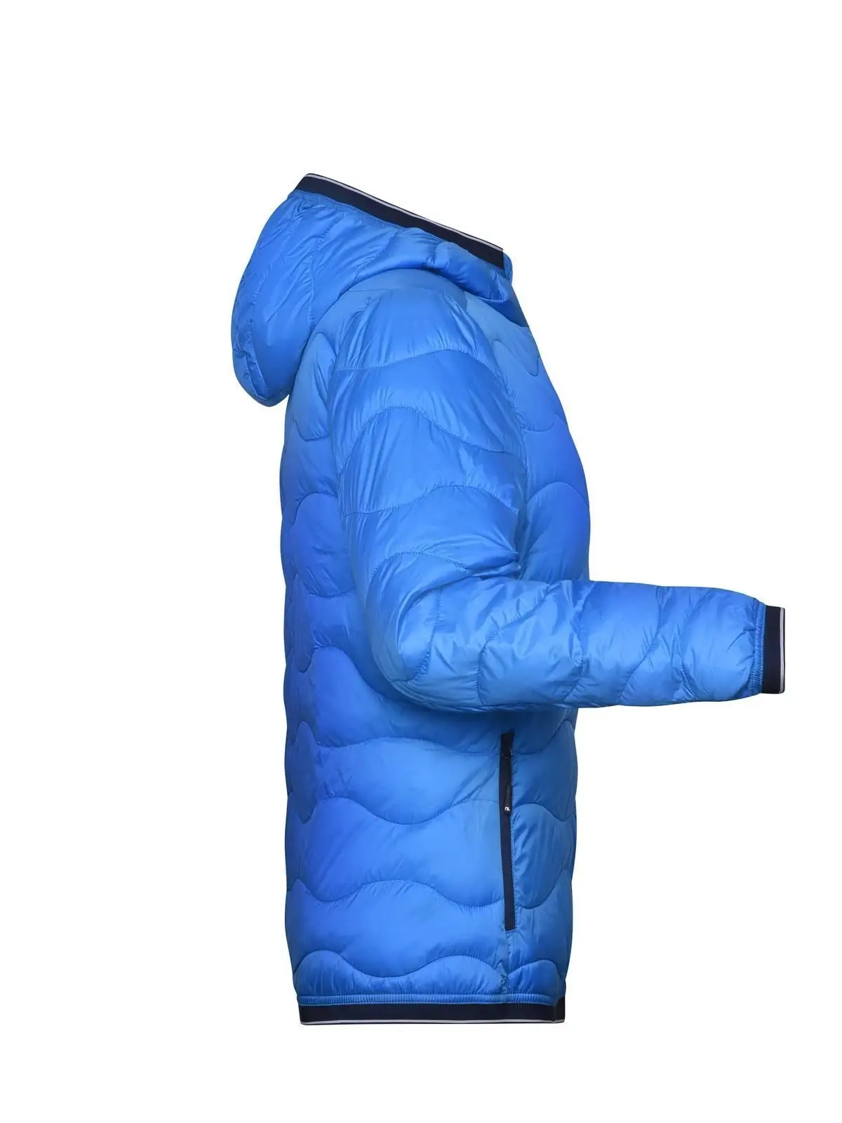 Immagine Ladies' Padded Jacket