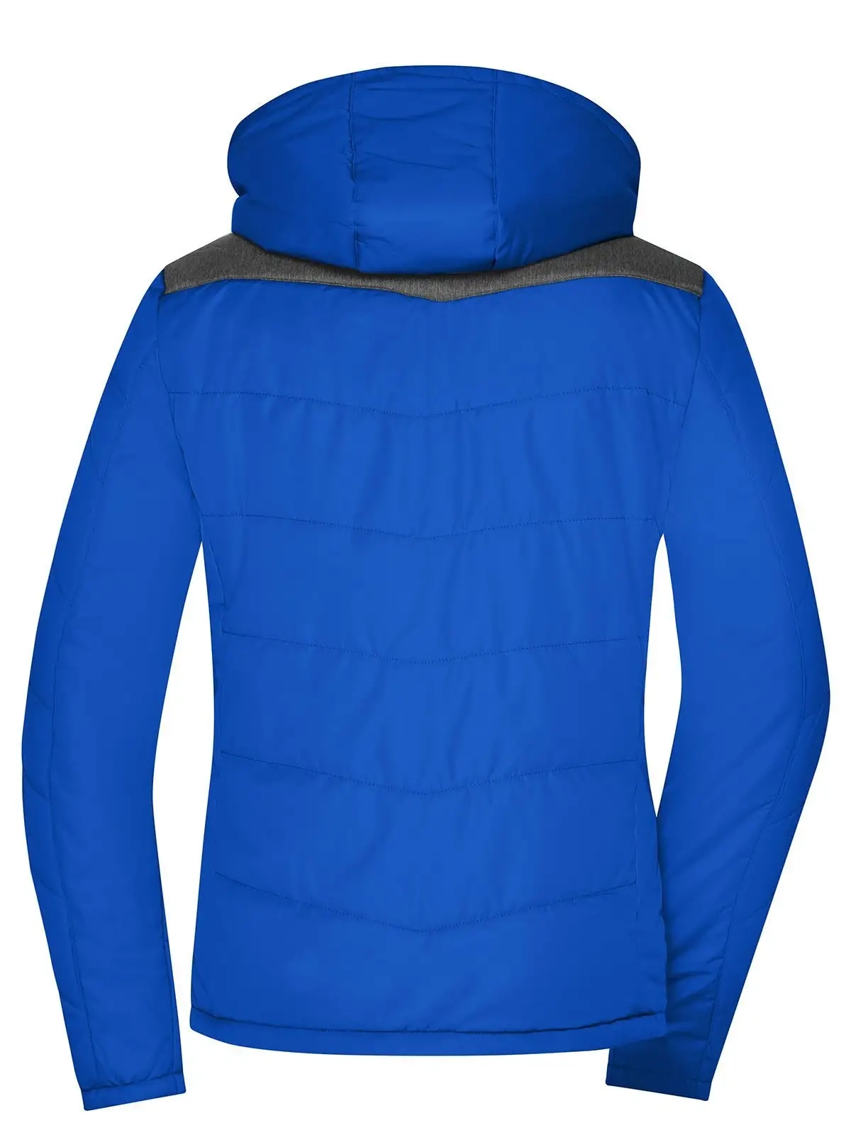 Immagine Ladies' Winter Jacket