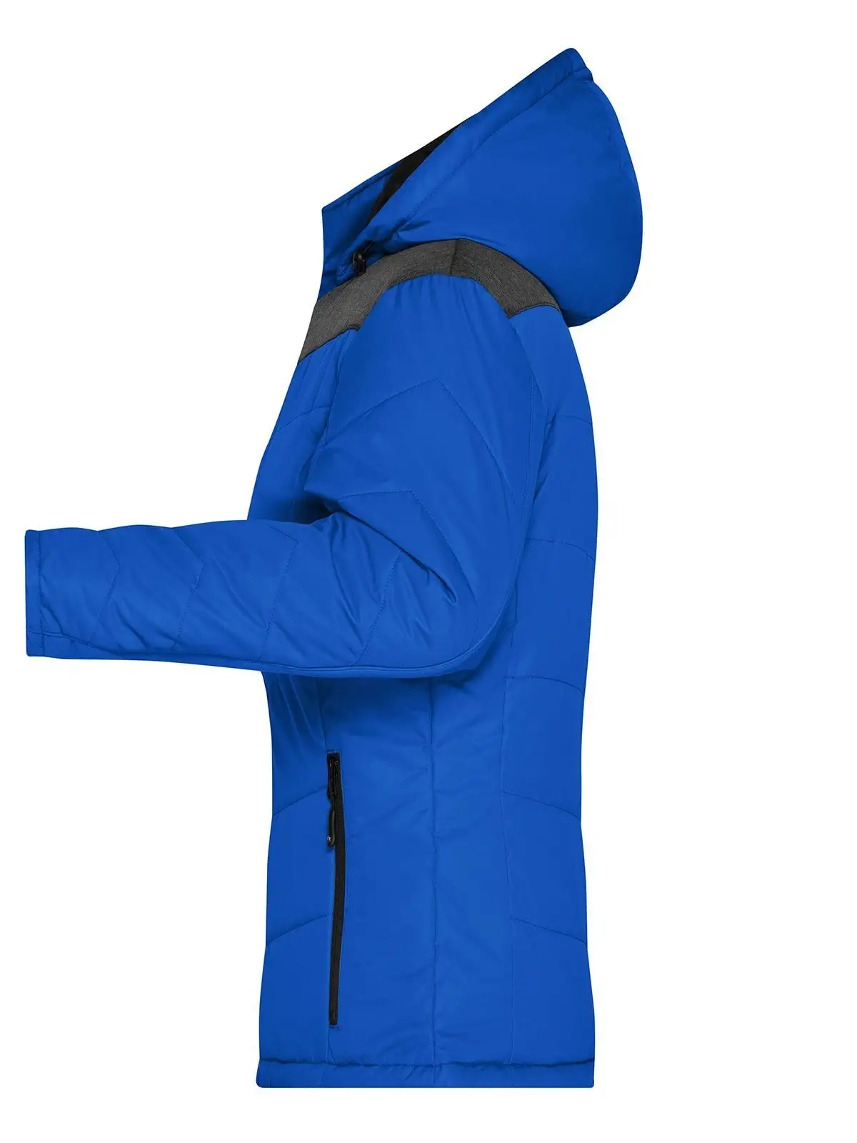 Immagine Ladies' Winter Jacket