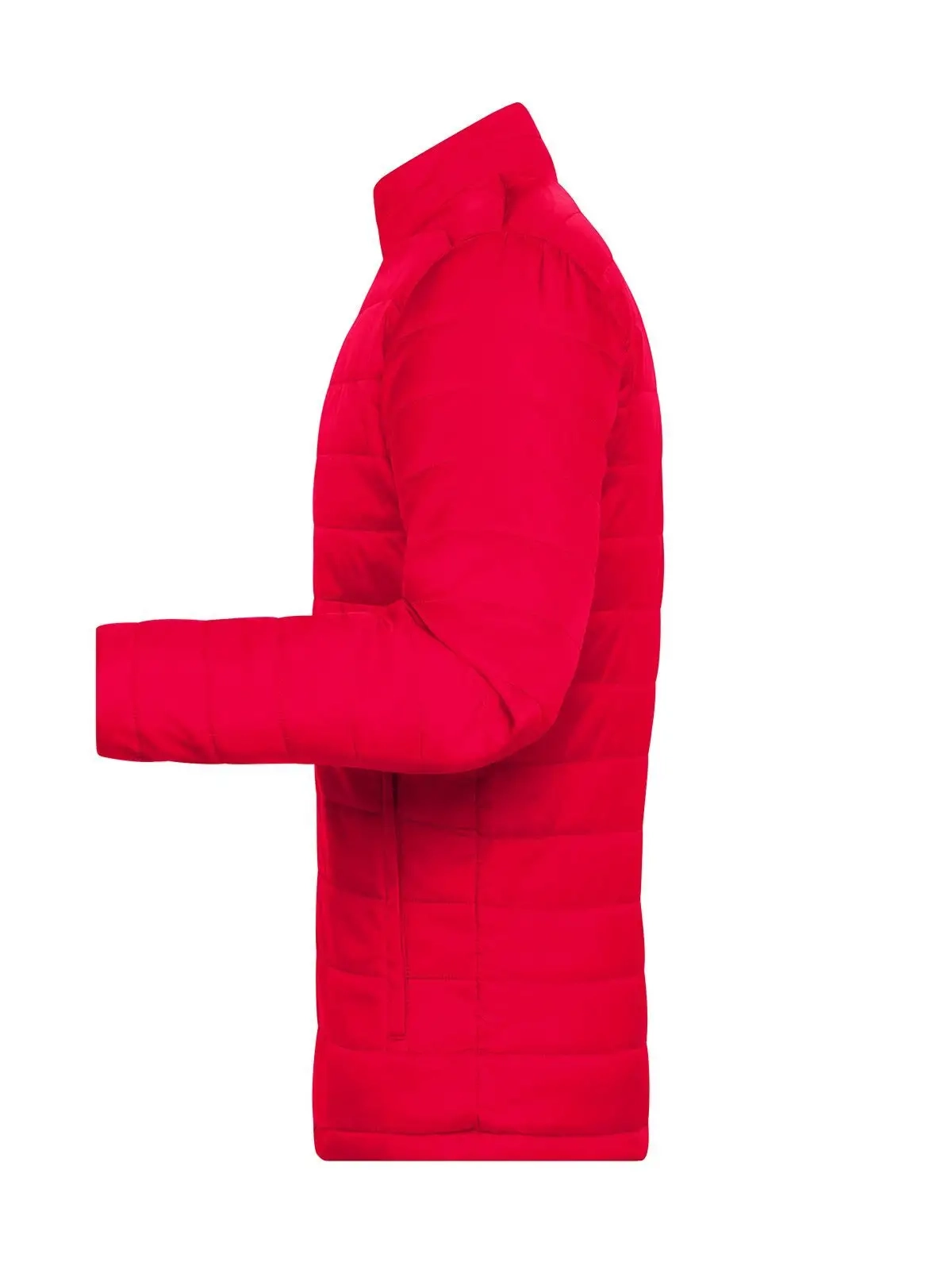 Immagine Men's Padded Jacket