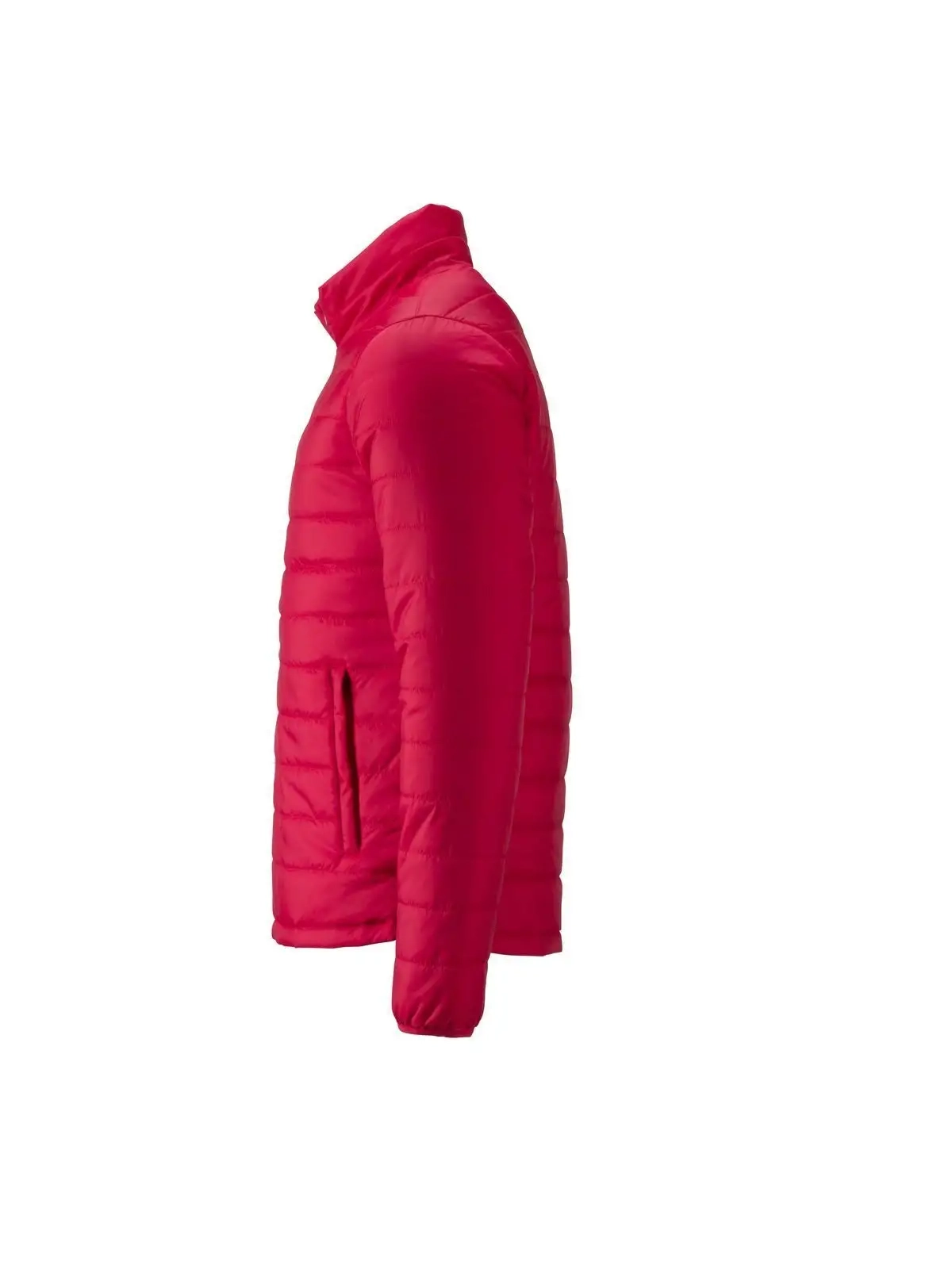 Immagine Men's Padded Jacket