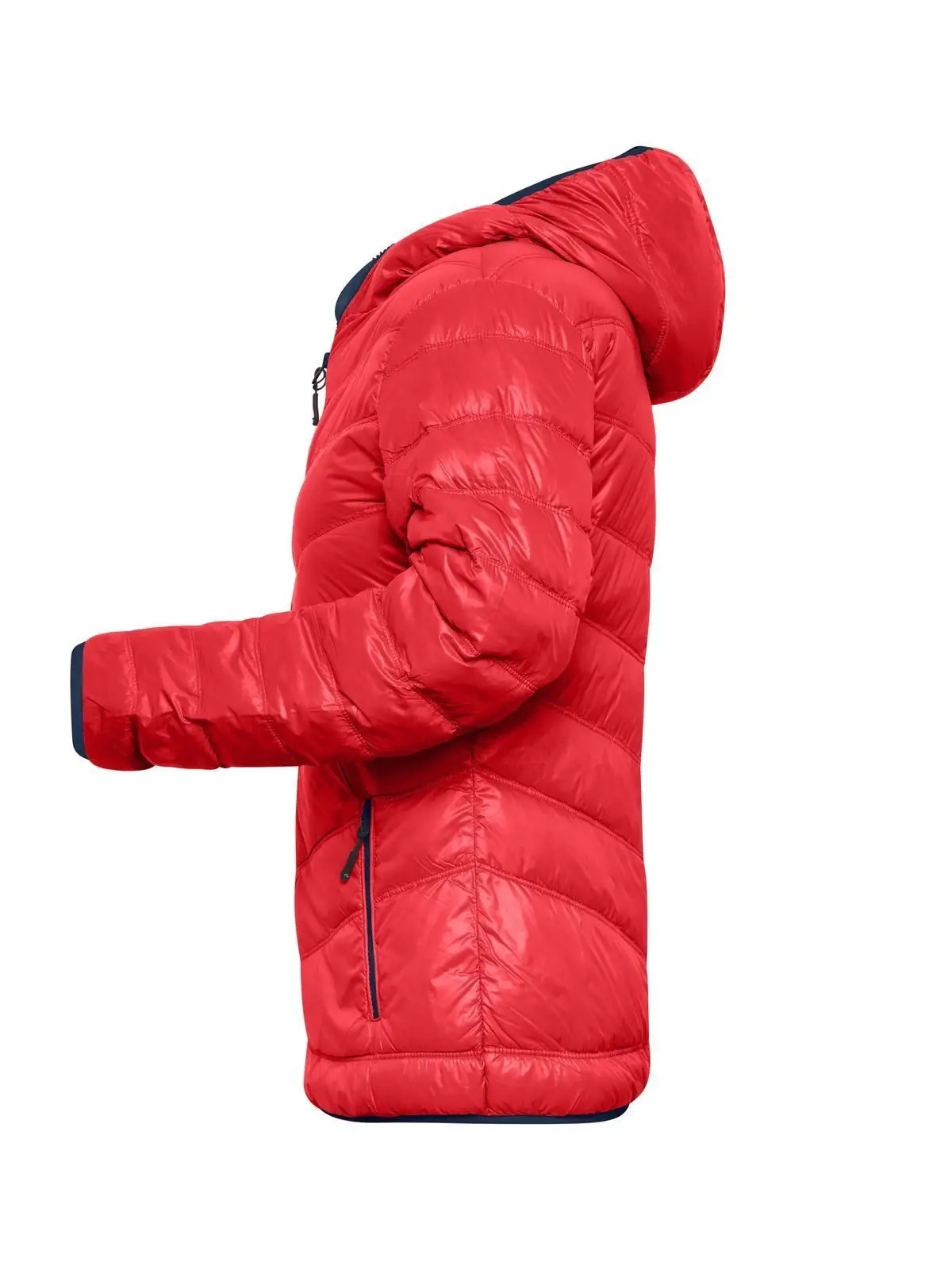 Immagine Ladies' Down Jacket