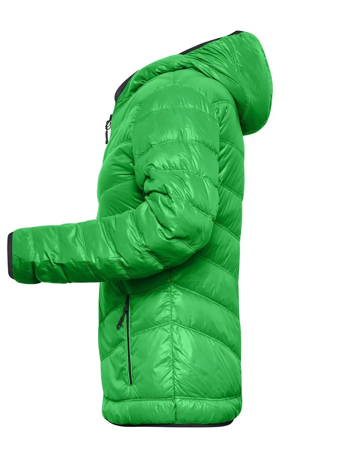 Immagine Ladies' Down Jacket