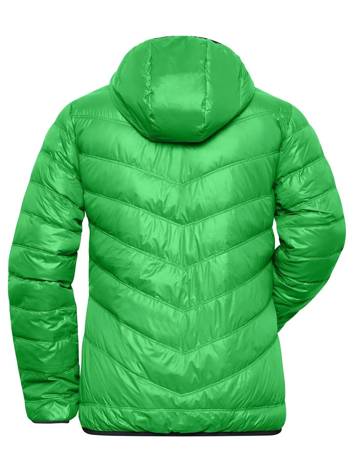 Immagine Ladies' Down Jacket