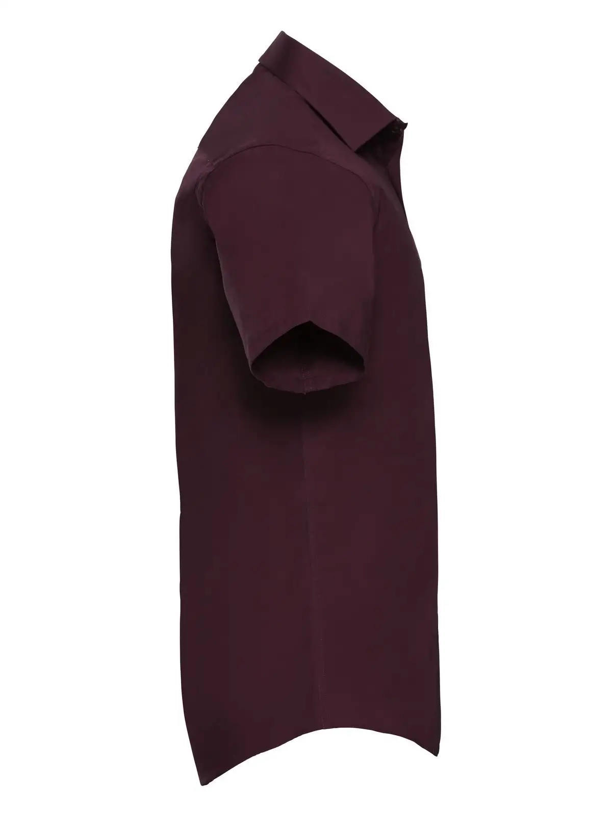 Immagine Men's Short Sleeve Easy Care Fitted Shirt