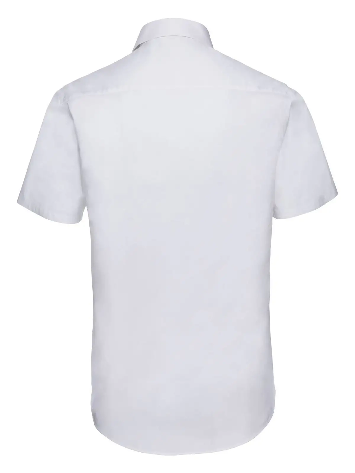 Immagine Men's Short Sleeve Easy Care Fitted Shirt