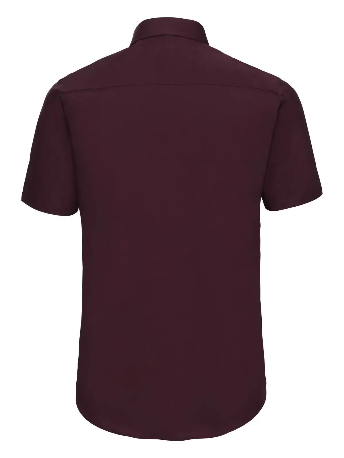 Immagine Men's Short Sleeve Easy Care Fitted Shirt