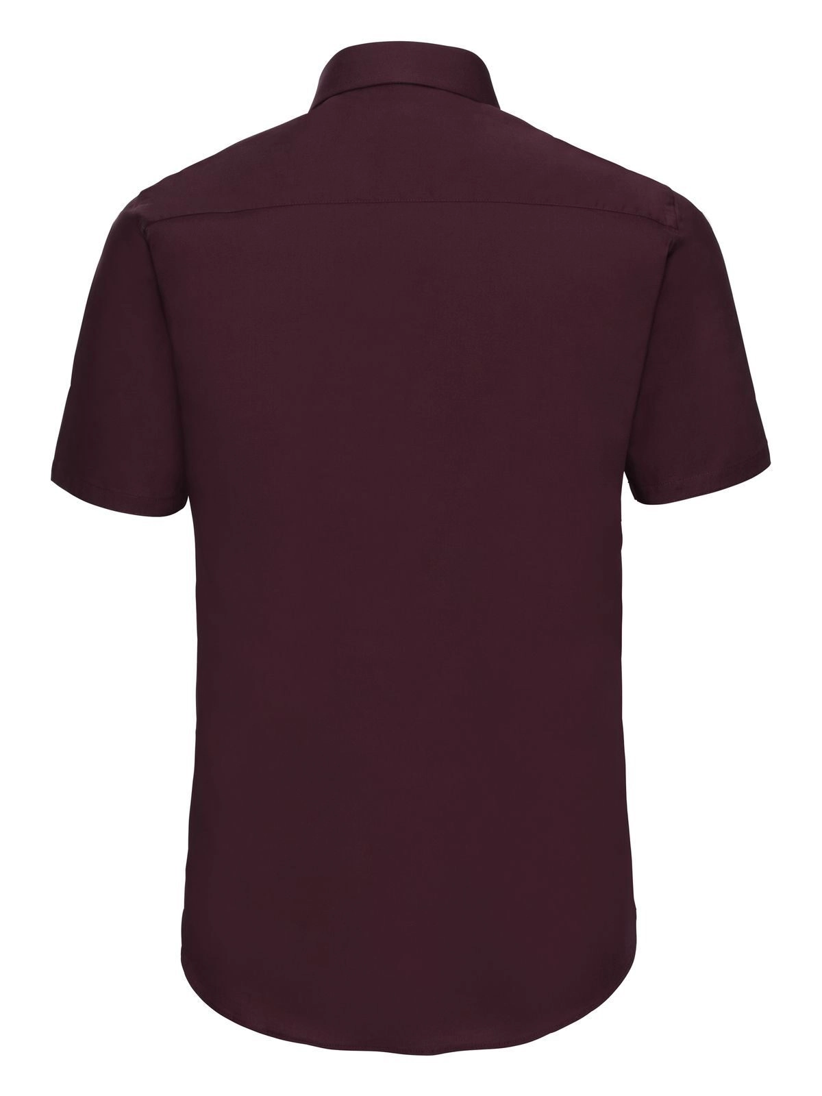 Immagine Men's Short Sleeve Easy Care Fitted Shirt