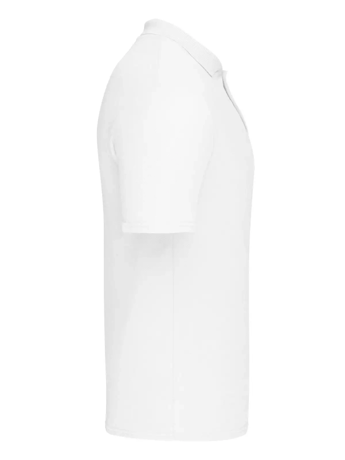 Immagine Original Polo