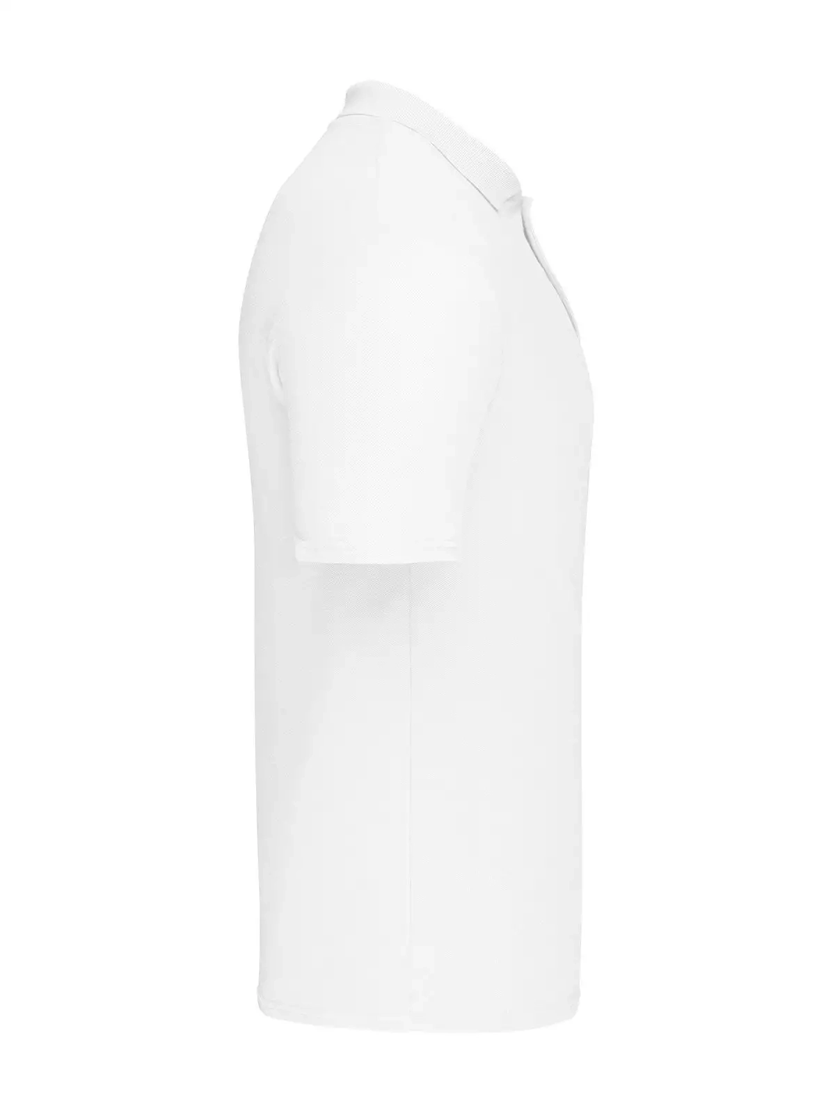 Immagine Original Polo