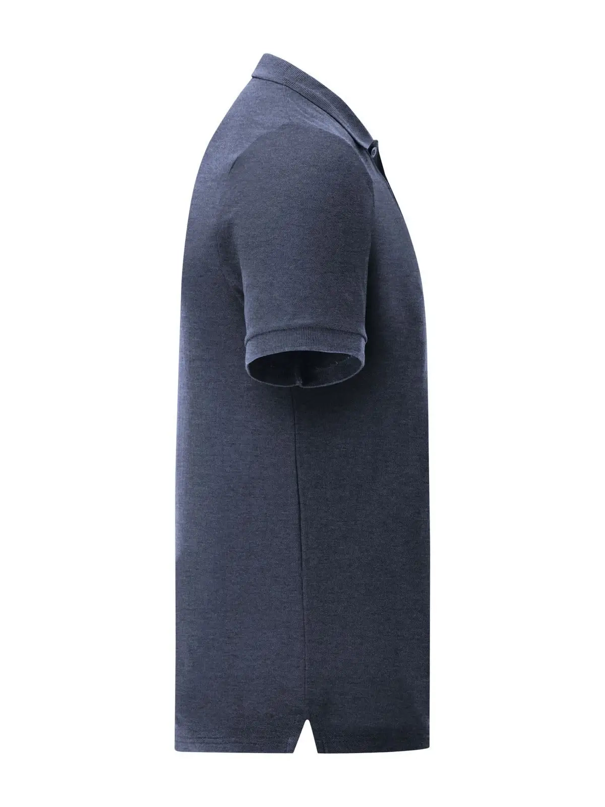 Immagine Iconic Polo