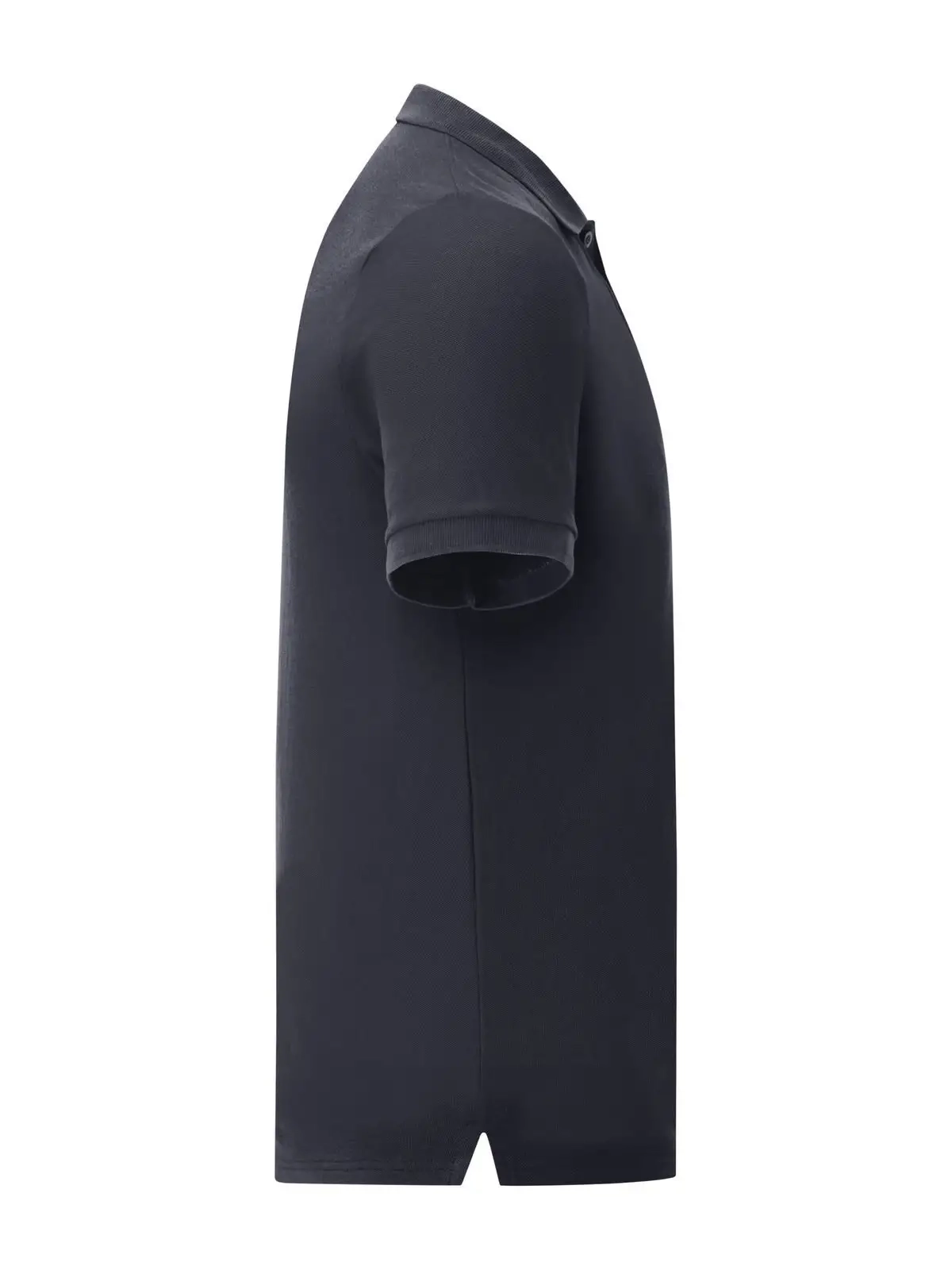 Immagine Iconic Polo