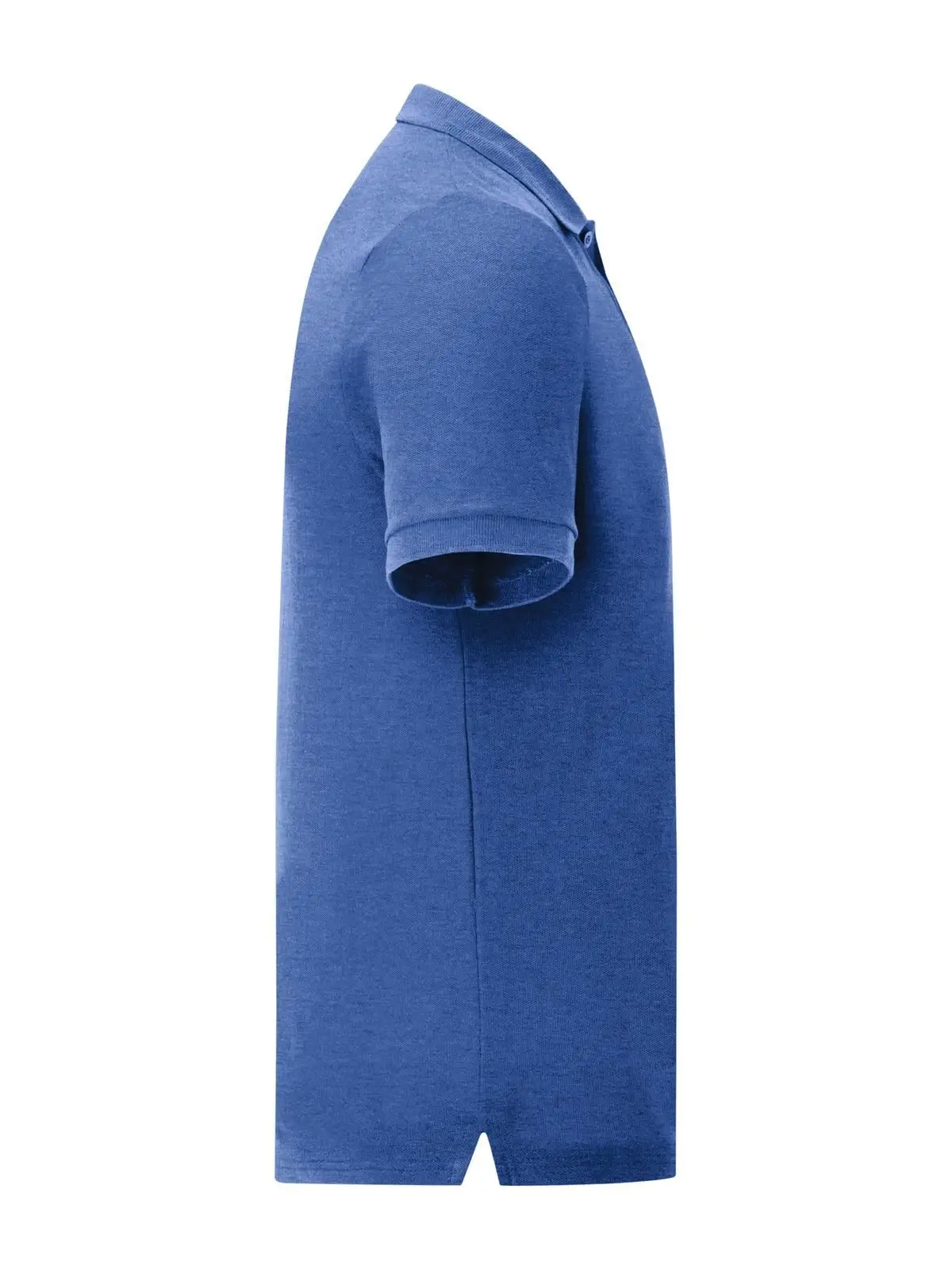 Immagine Iconic Polo