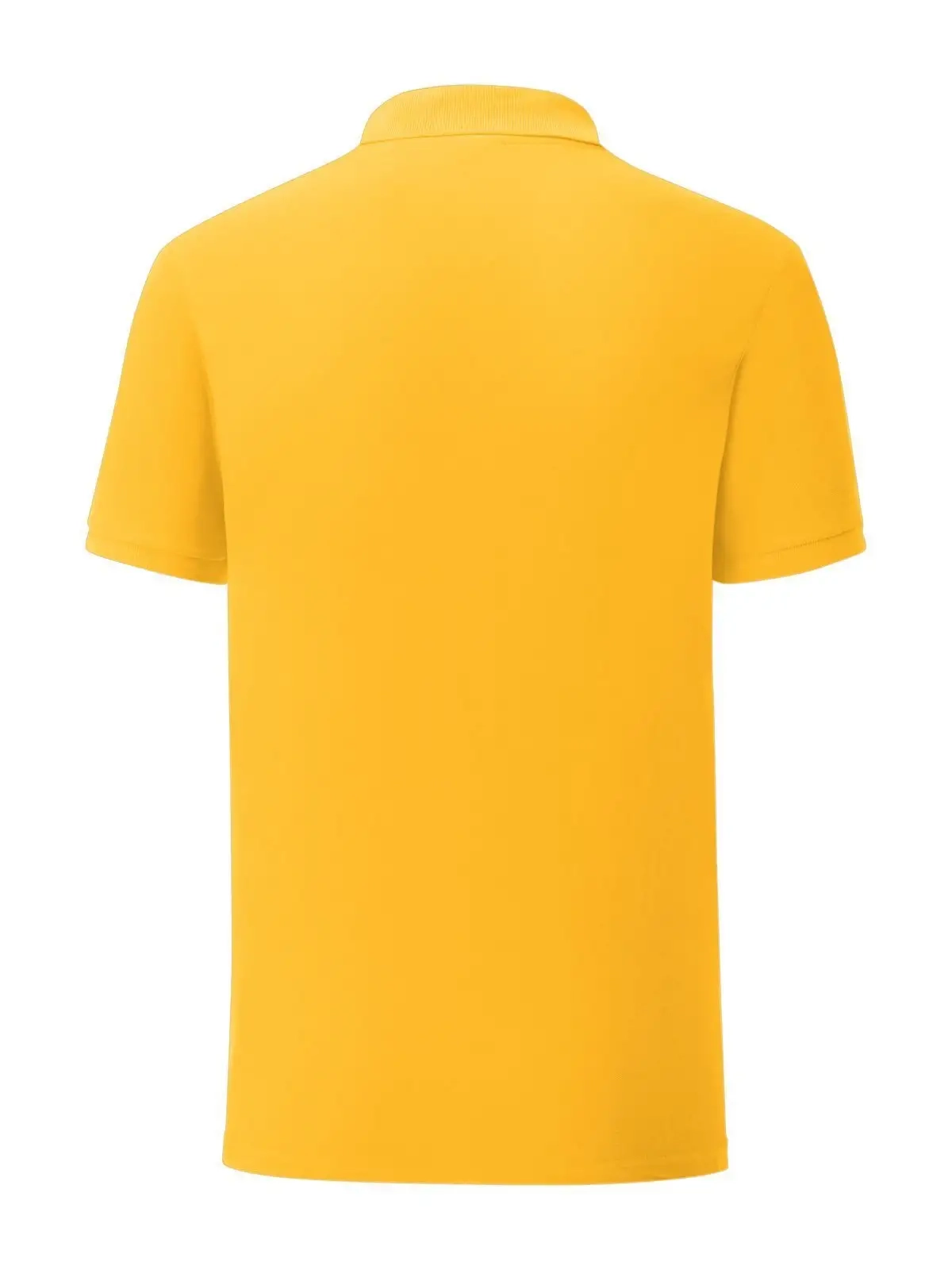 Immagine Iconic Polo