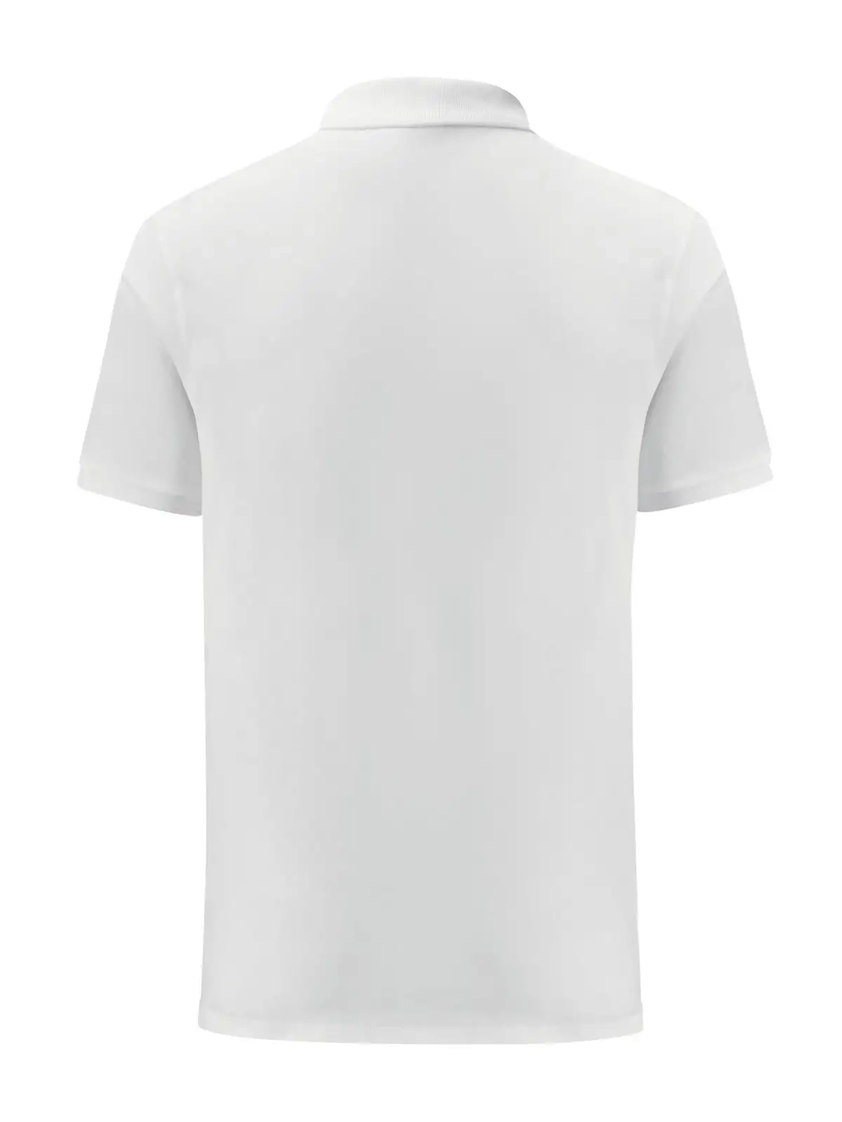 Immagine Iconic Polo