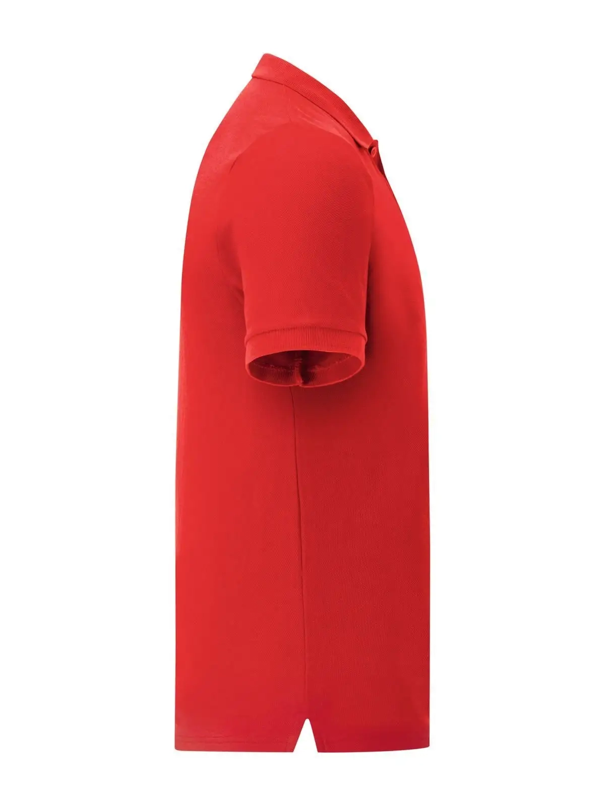 Immagine Iconic Polo