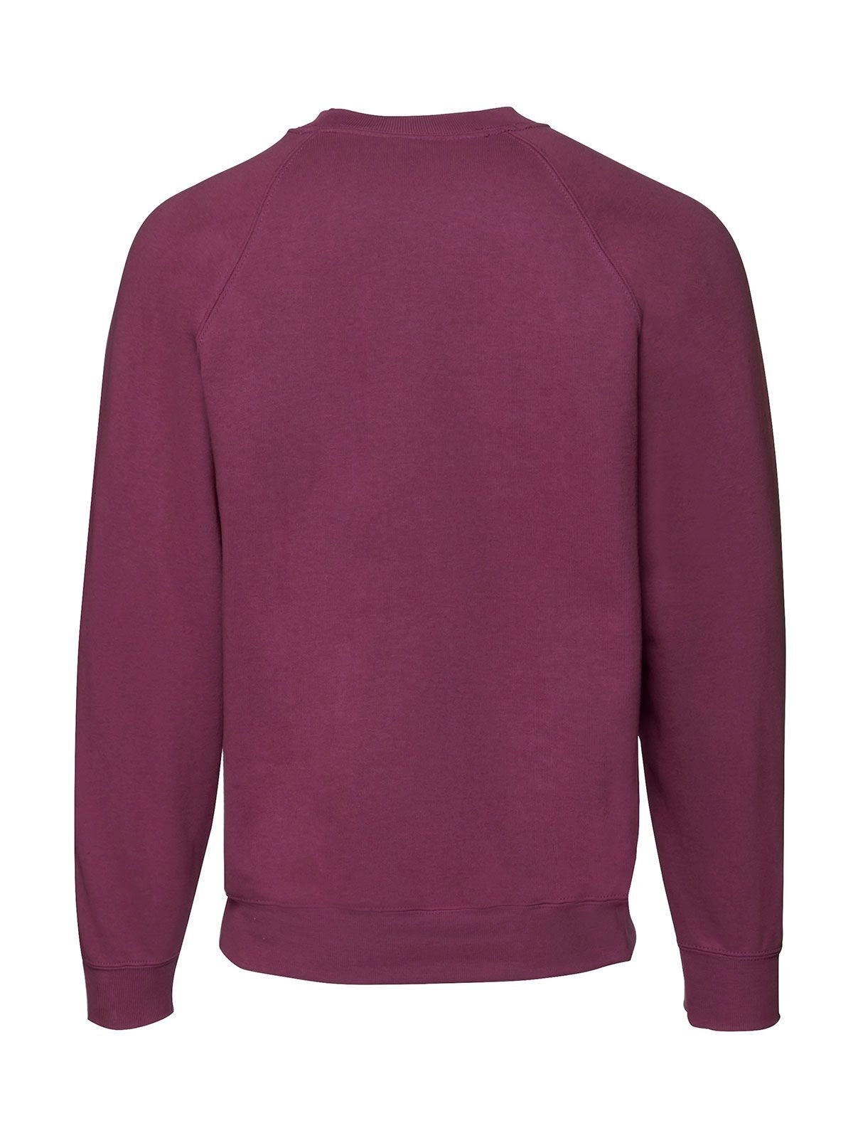 Immagine Classic Raglan Sweat
