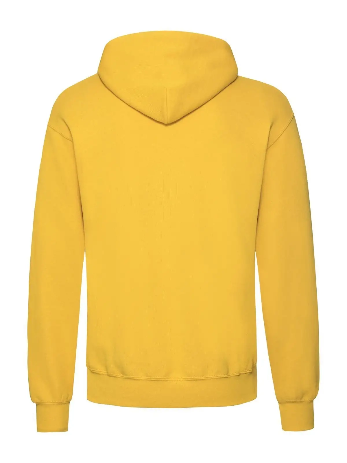 Immagine Classic Hooded Sweat