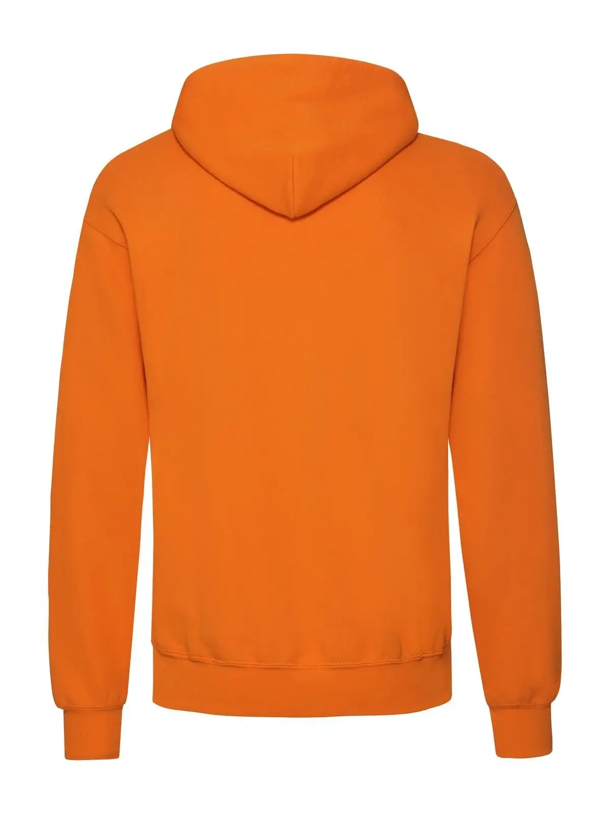 Immagine Classic Hooded Sweat