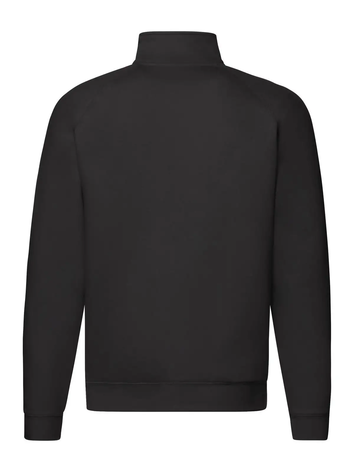 Immagine Premium Zip Neck Sweat