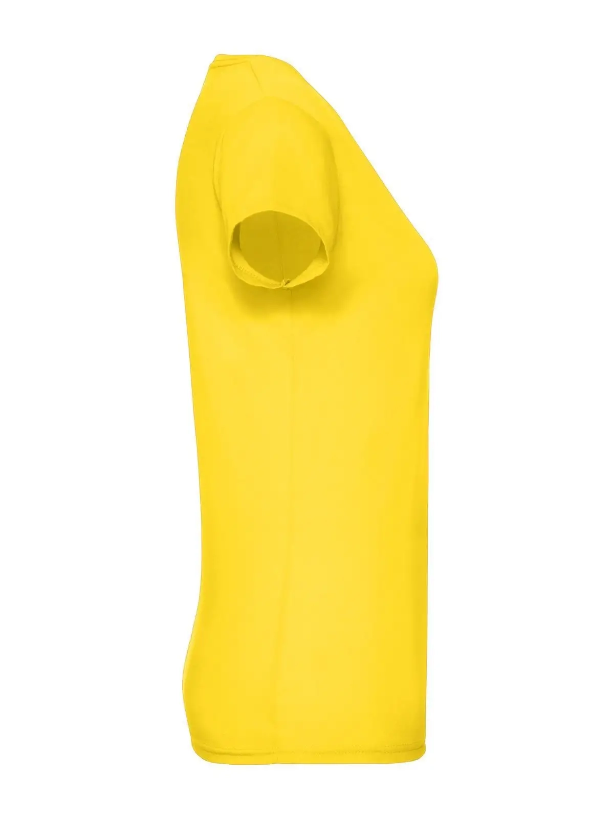 Immagine Ladies Original T