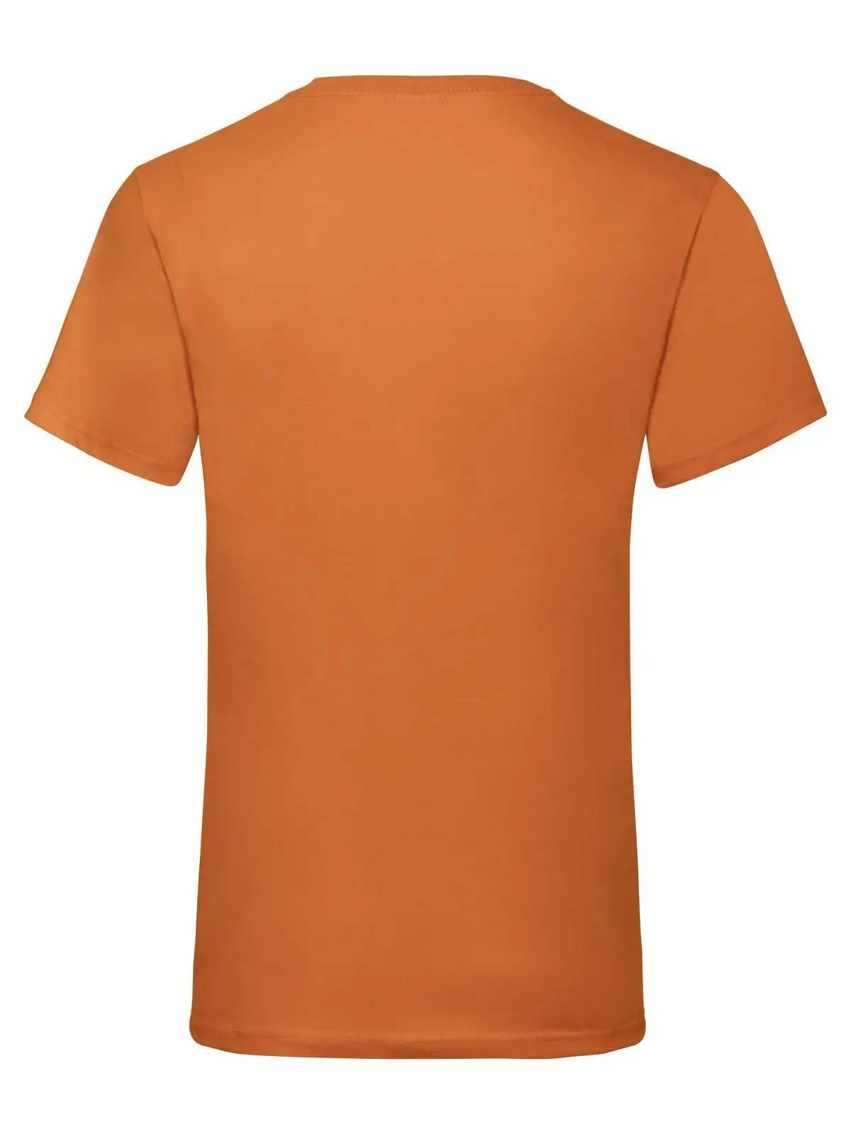 Immagine Valueweight V-Neck T