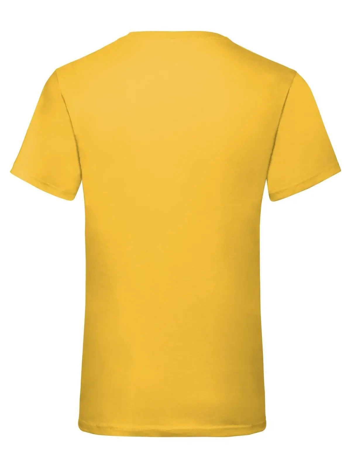 Immagine Valueweight V-Neck T