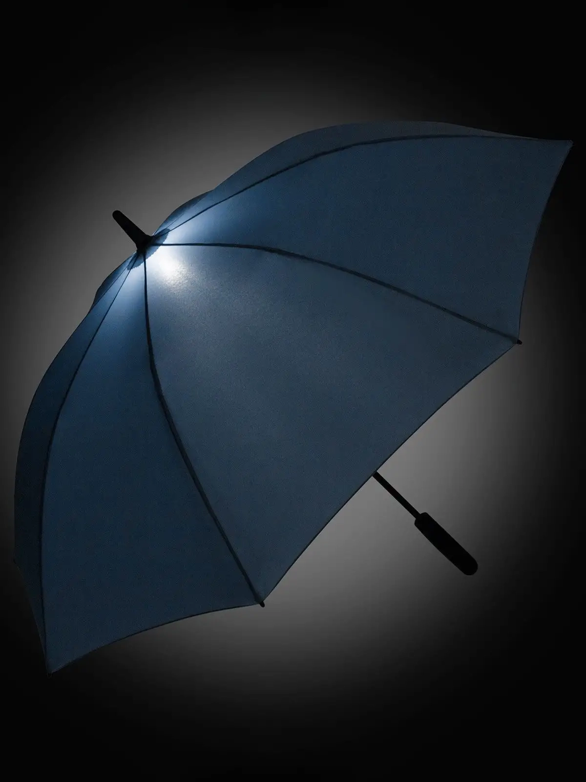 Immagine AC midsize umbrella FARE®-Skylight