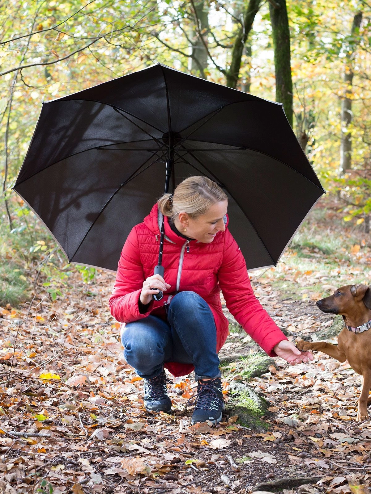 Immagine AC golf umbrella FARE-DoggyBrella
