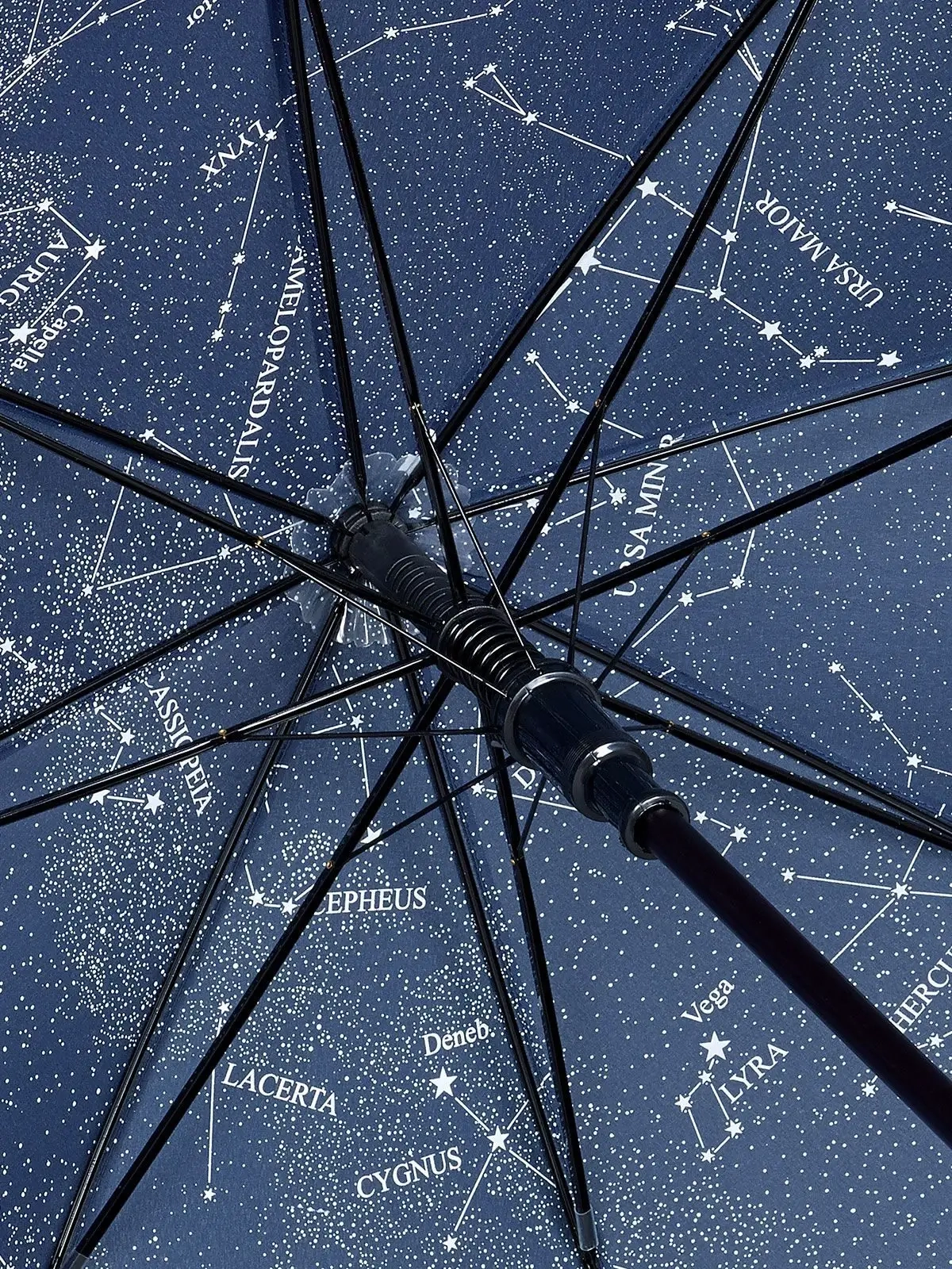 Immagine AC woodshaft regular umbrella