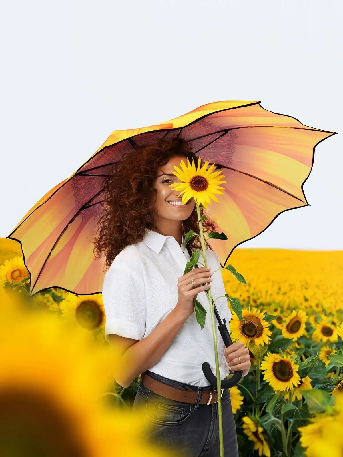 Immagine AC regular umbrella FARE-Motiv