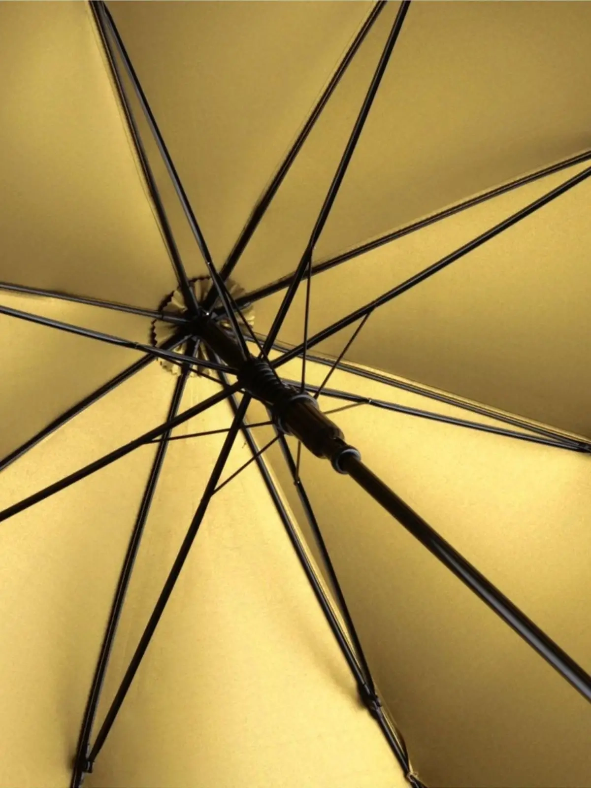 Immagine AC regular umbrella FARE® Doubleface