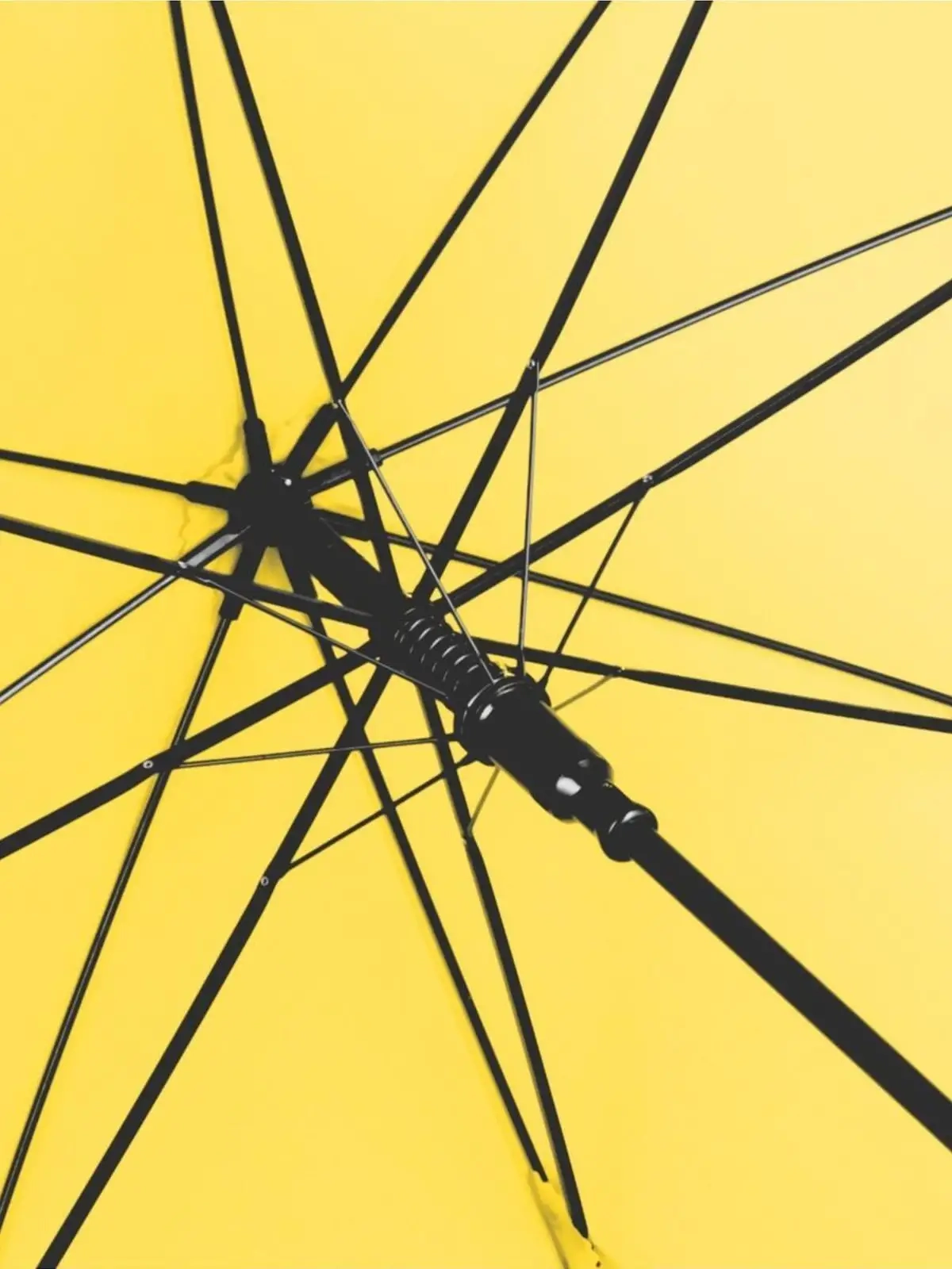 Immagine AC regular umbrella