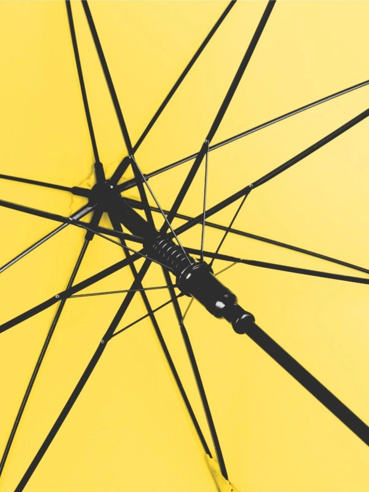 Immagine AC regular umbrella