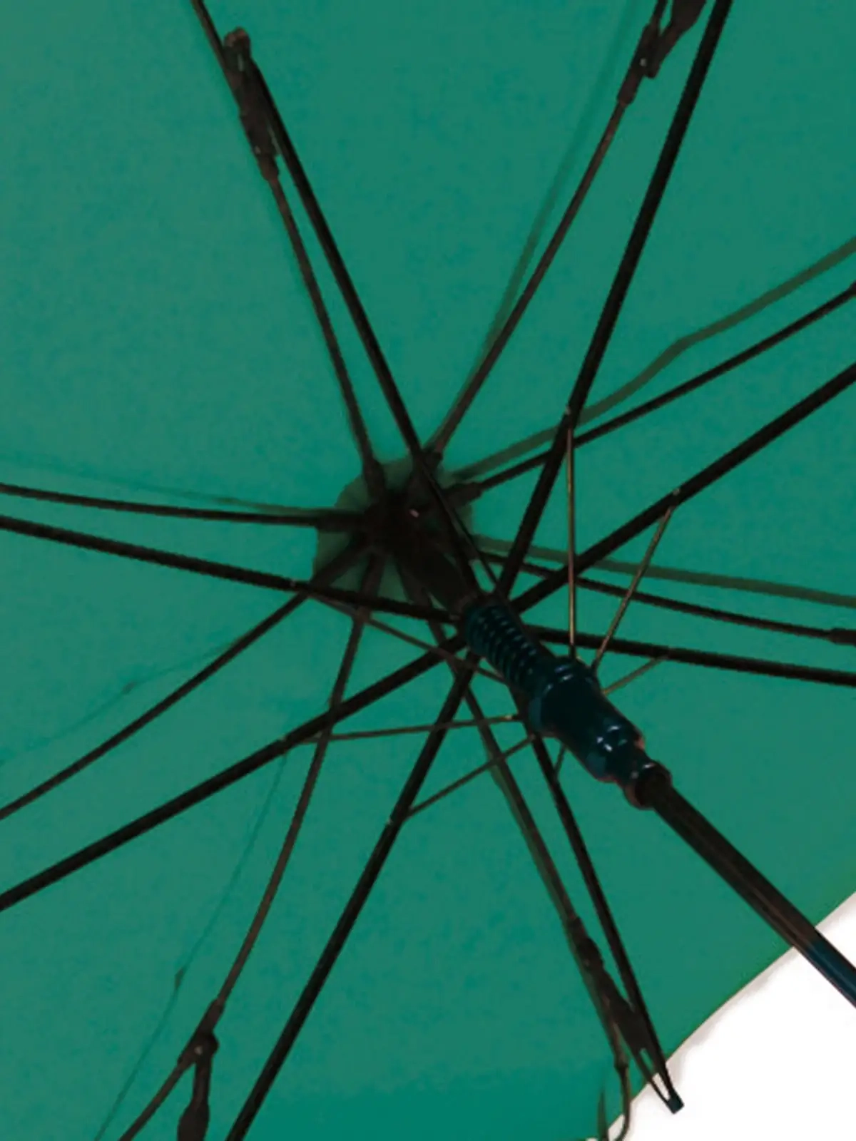 Immagine AC regular umbrella FARE®-Collection