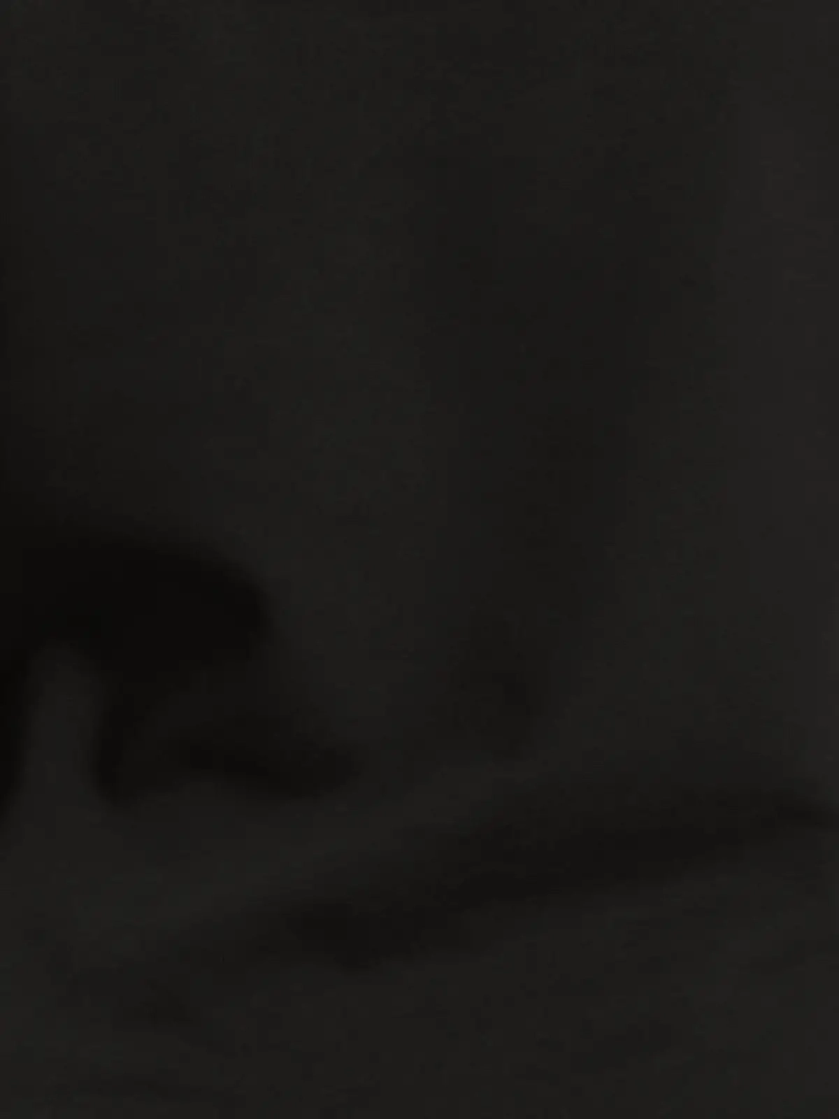 Immagine Felpa donna manica setin