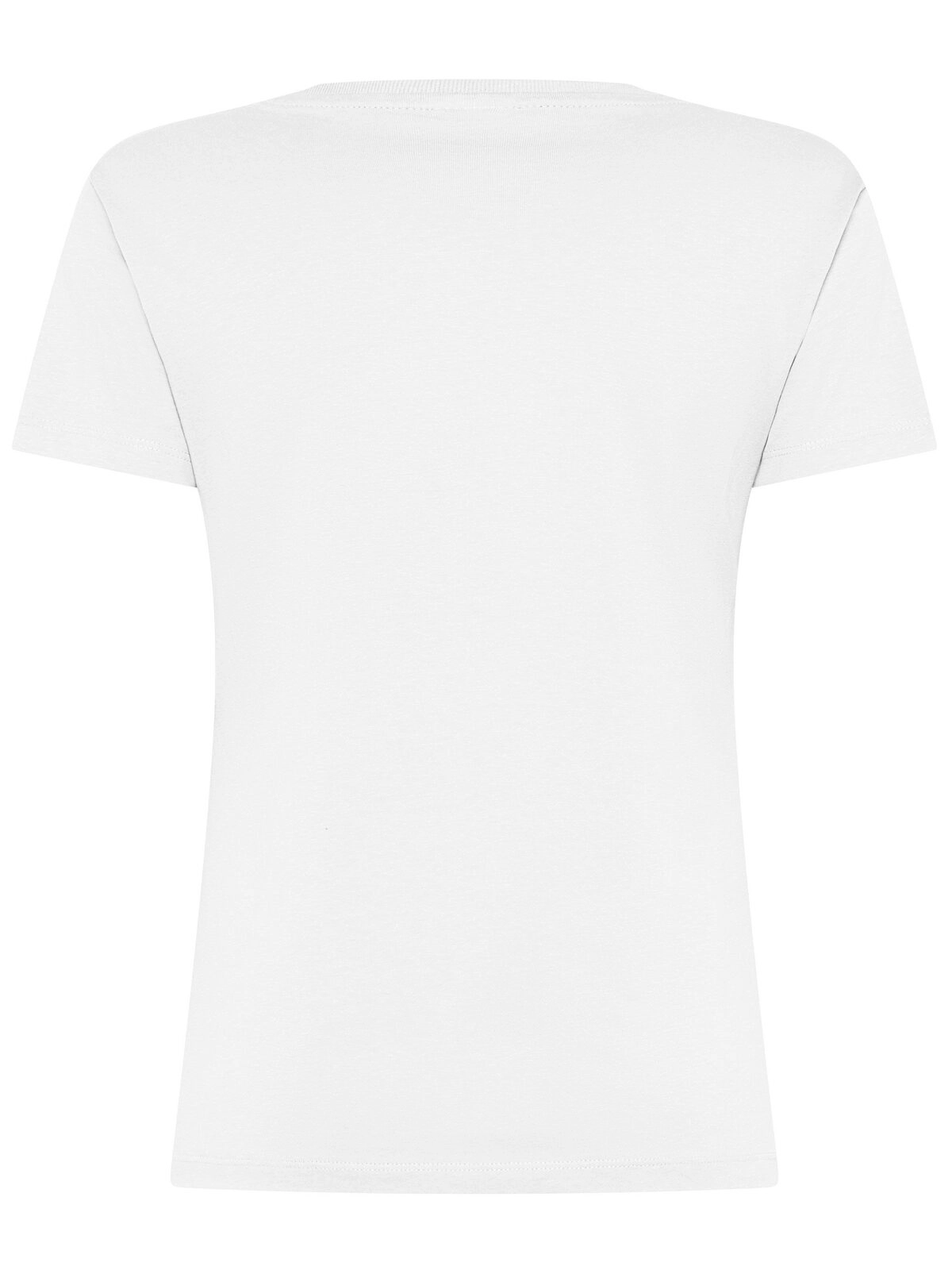 Immagine T-shirt Evolution Donna