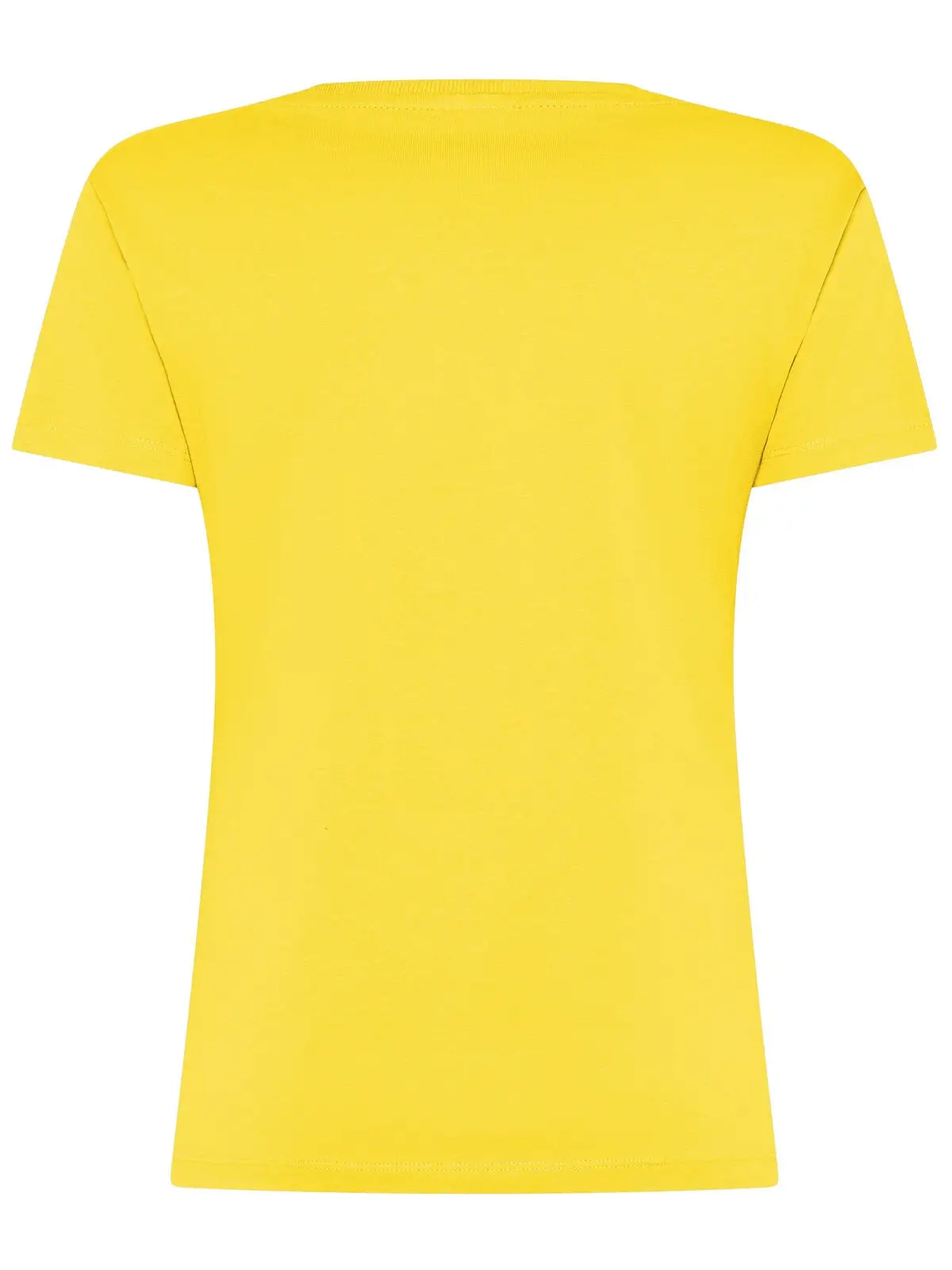 Immagine t-shirt donna Evolution