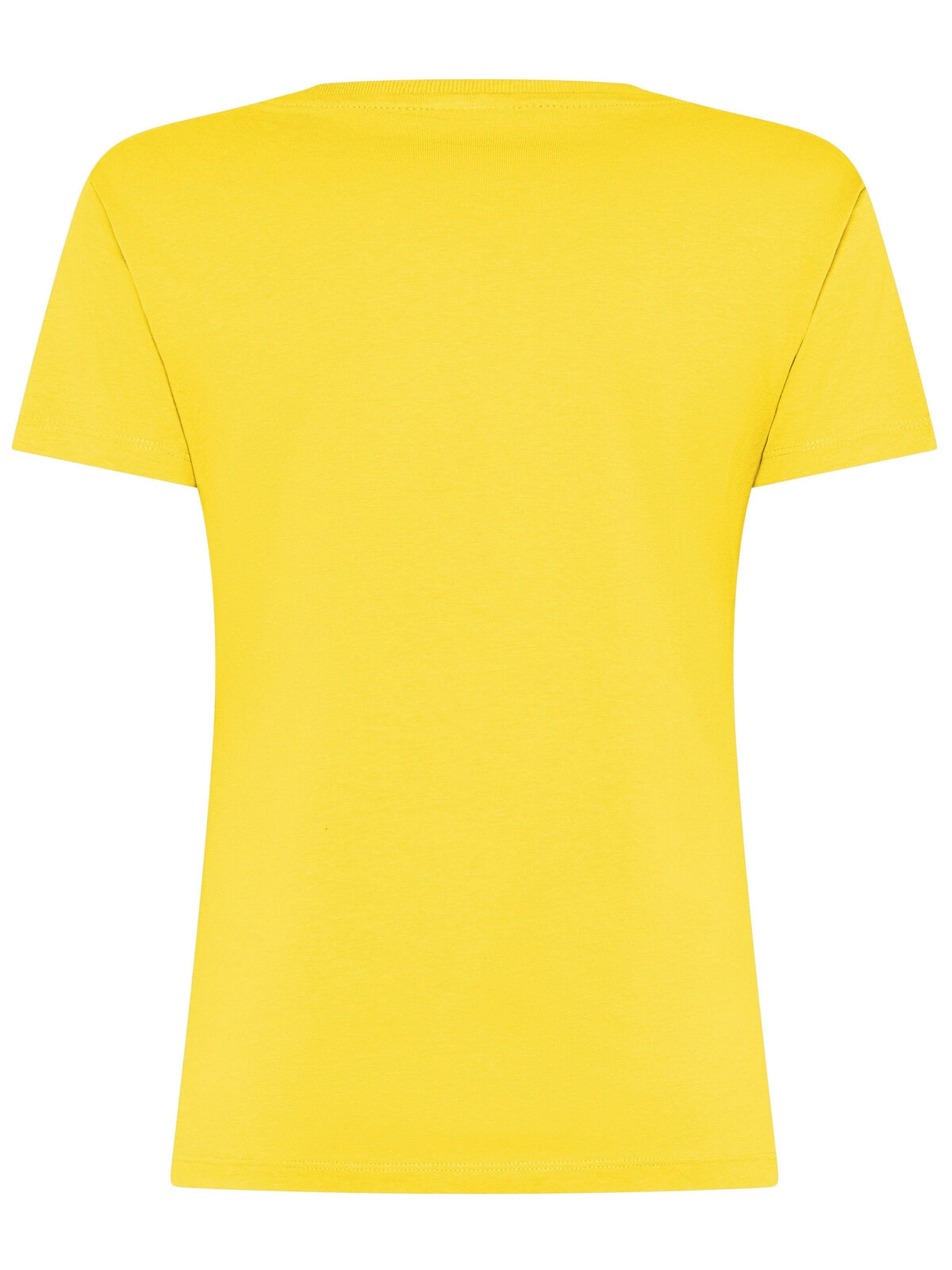 Immagine T-shirt Evolution Donna