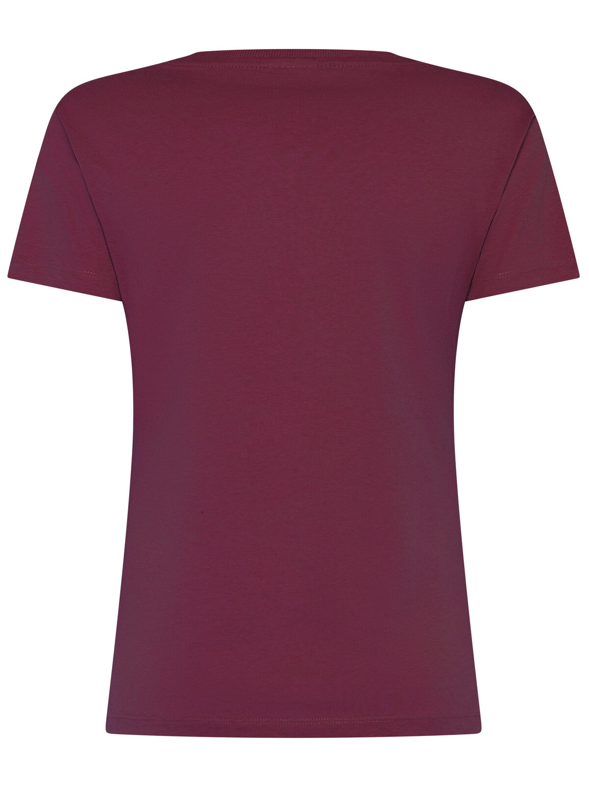 Immagine T-shirt Evolution Donna