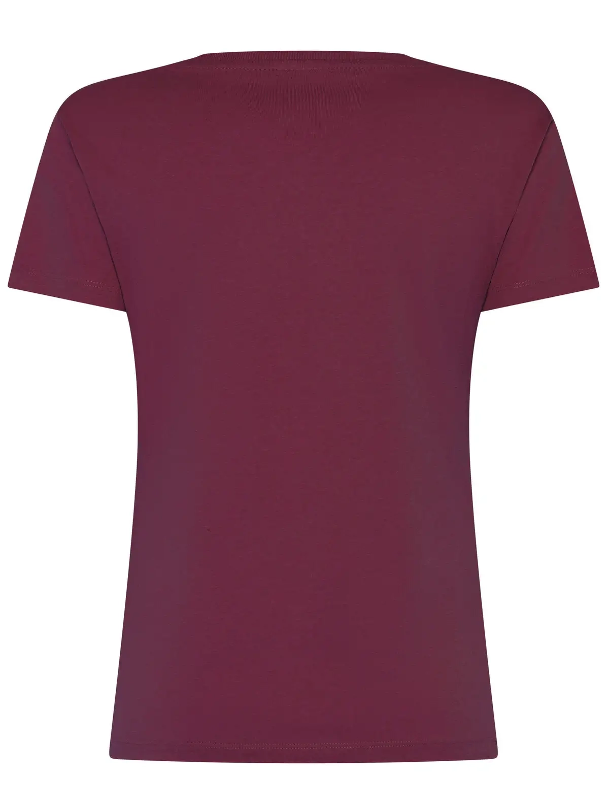 Immagine t-shirt donna Evolution