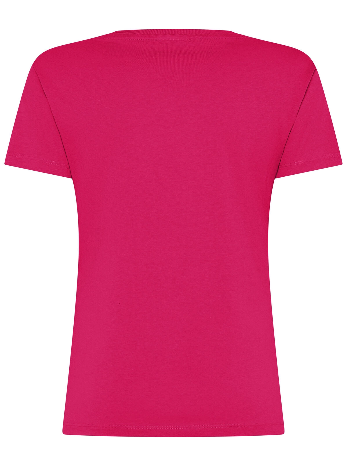 Immagine T-shirt Evolution Donna