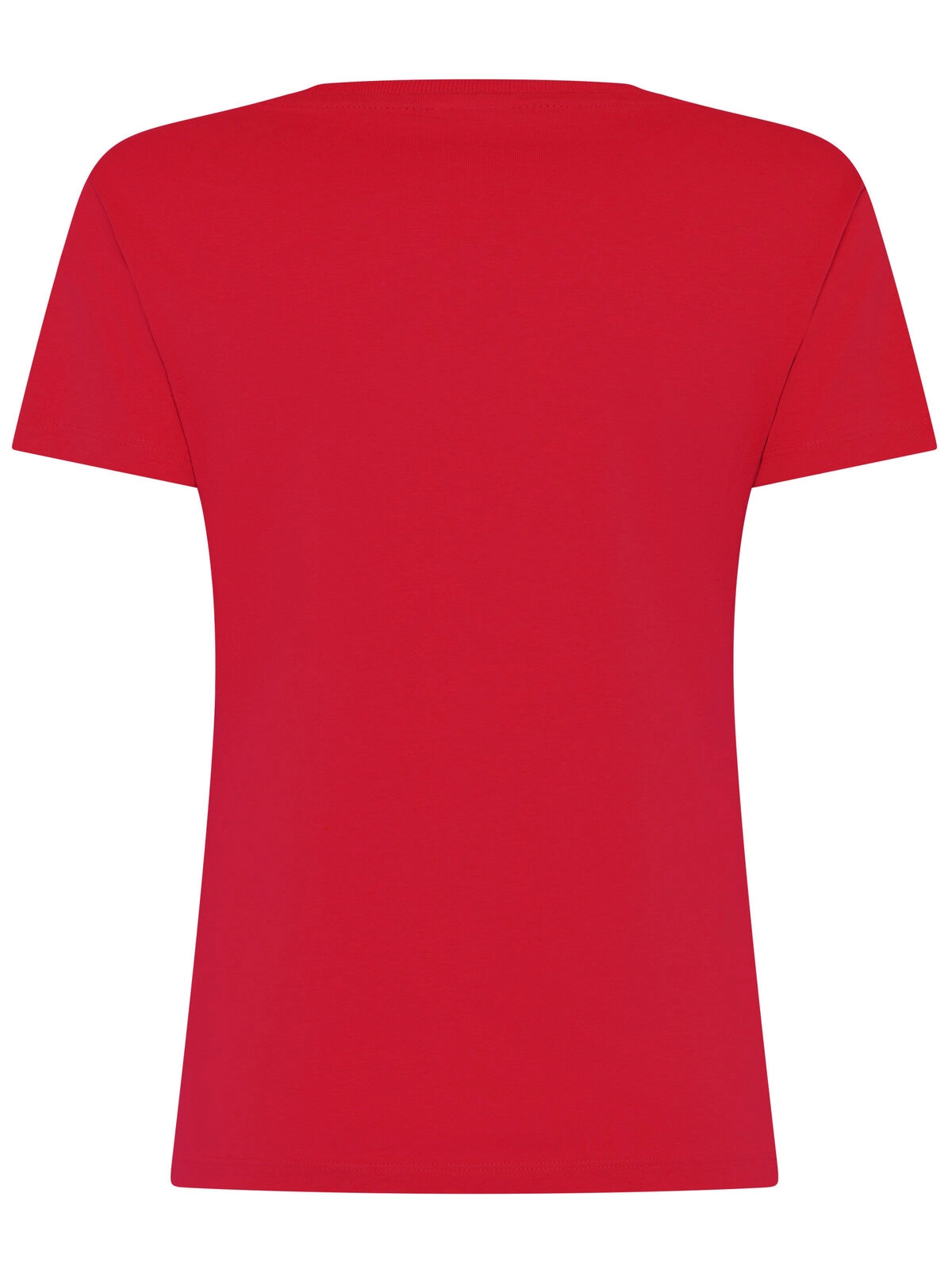 Immagine T-shirt Evolution Donna
